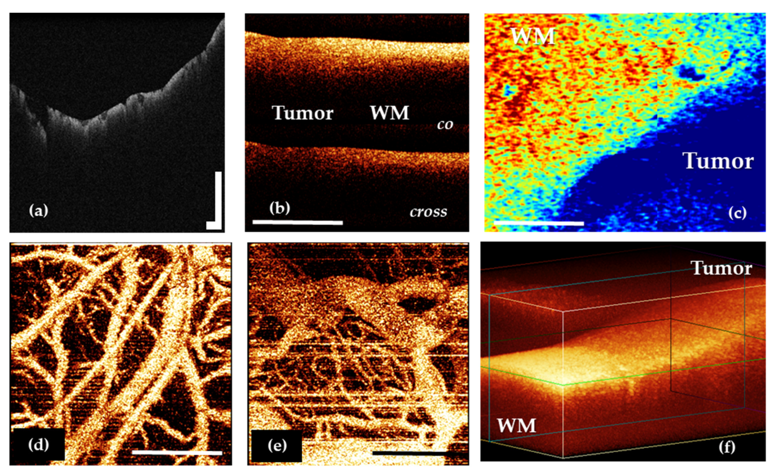 Diagnostics 12 00335 g002 Diagnostics 12 00335 g002
