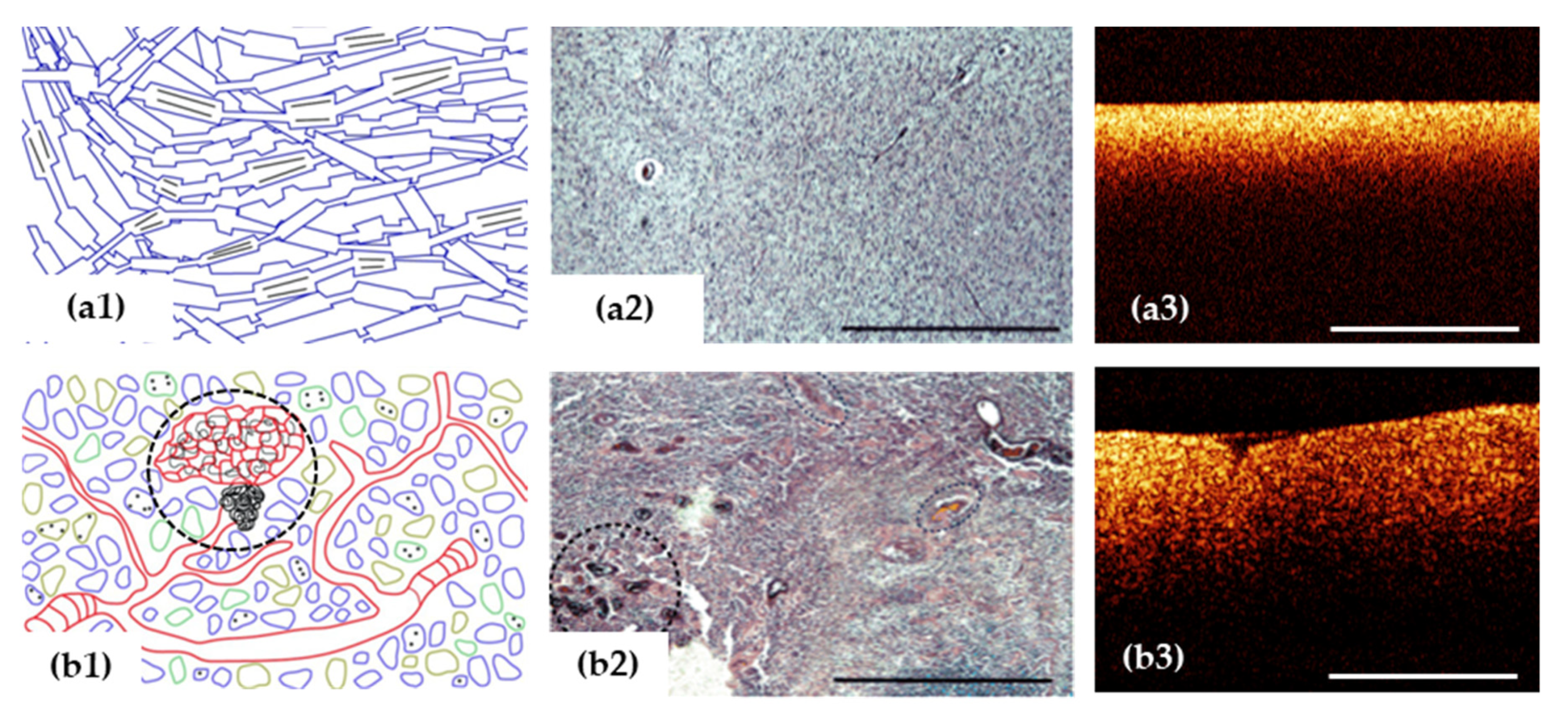 Diagnostics 12 00335 g003 Diagnostics 12 00335 g003