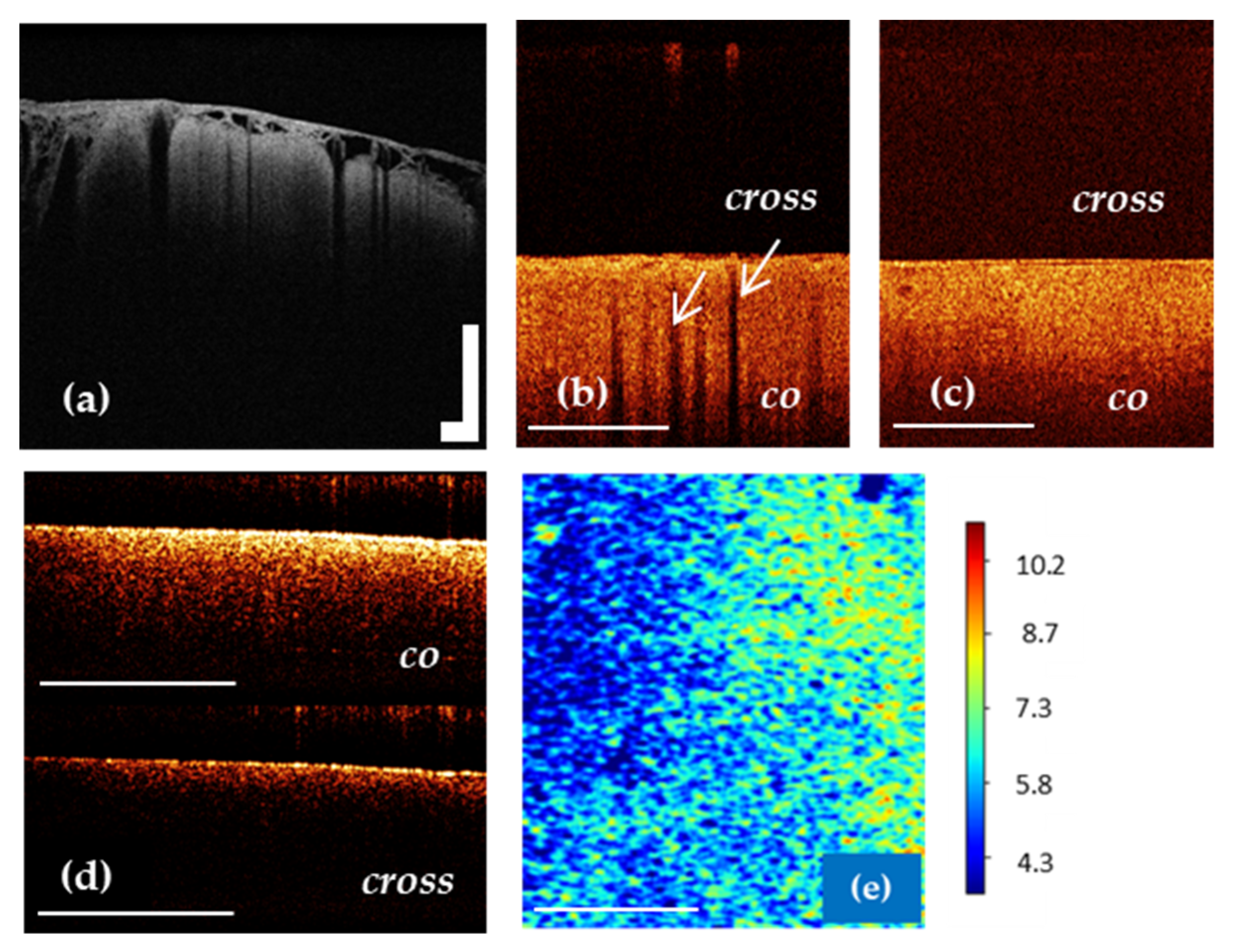 Diagnostics 12 00335 g004 Diagnostics 12 00335 g004
