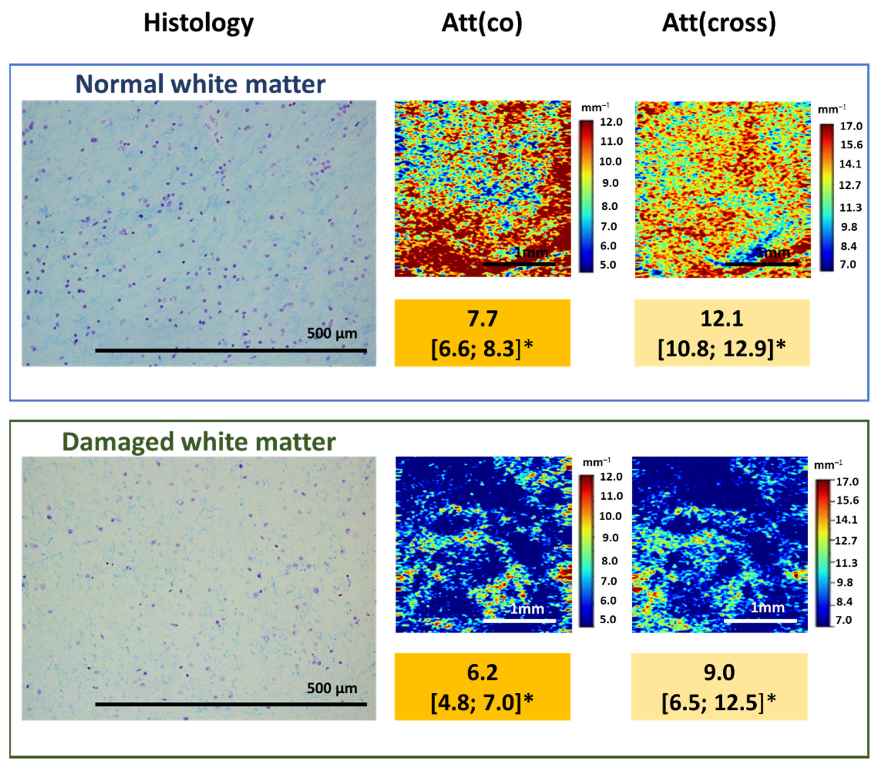Diagnostics 12 00335 g005 Diagnostics 12 00335 g005