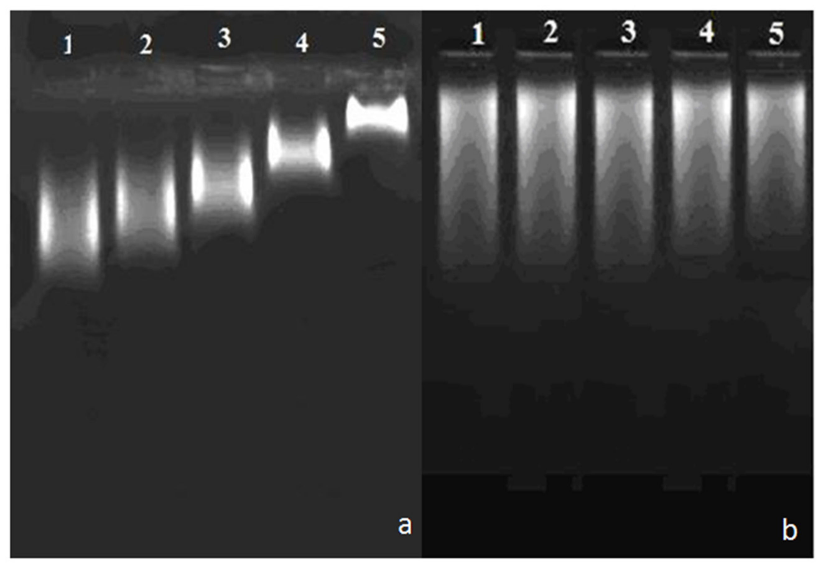 Diagnostics 12 00337 g005 550