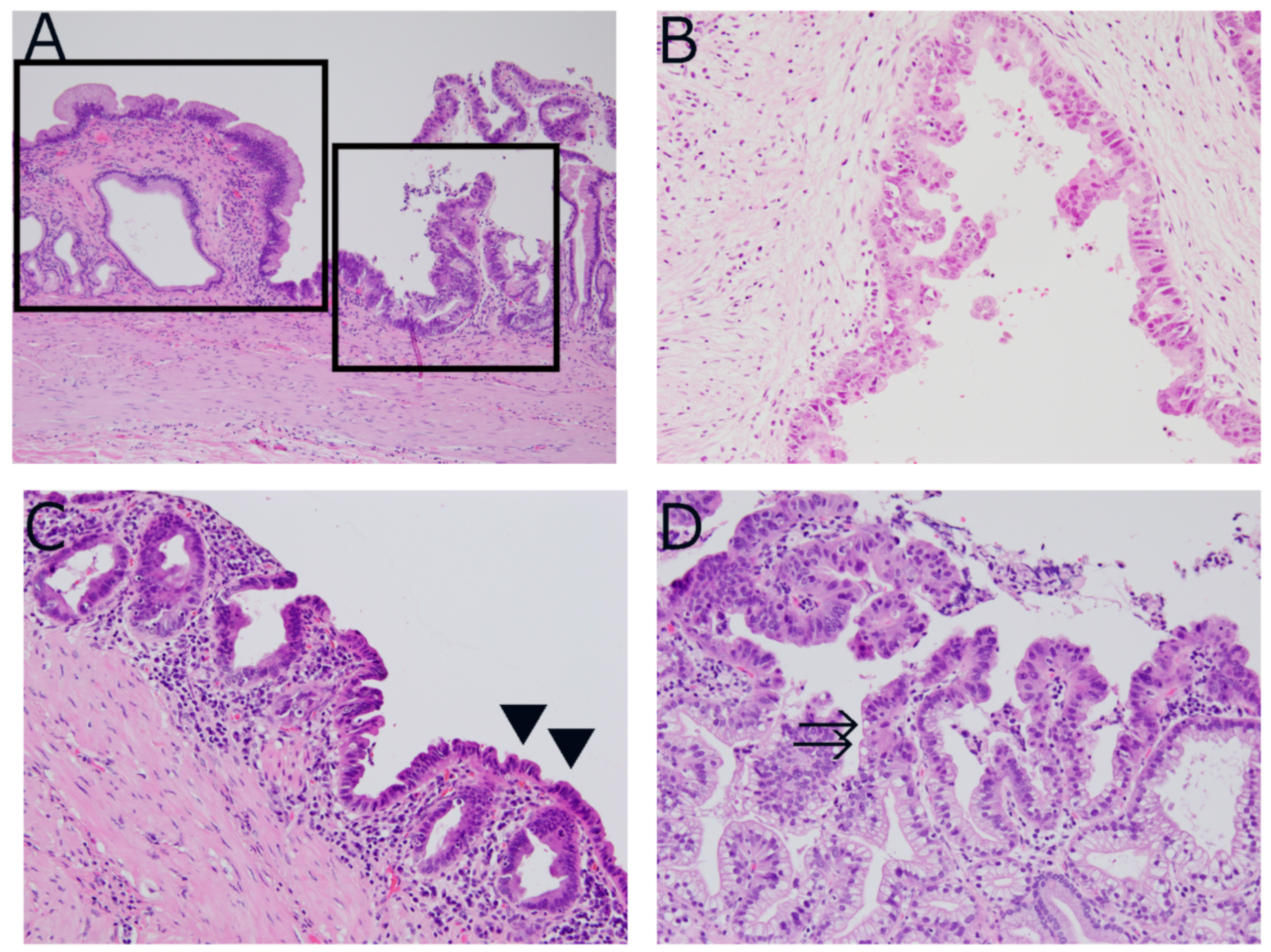 Diagnostics 12 00341 g003 Diagnostics 12 00341 g003