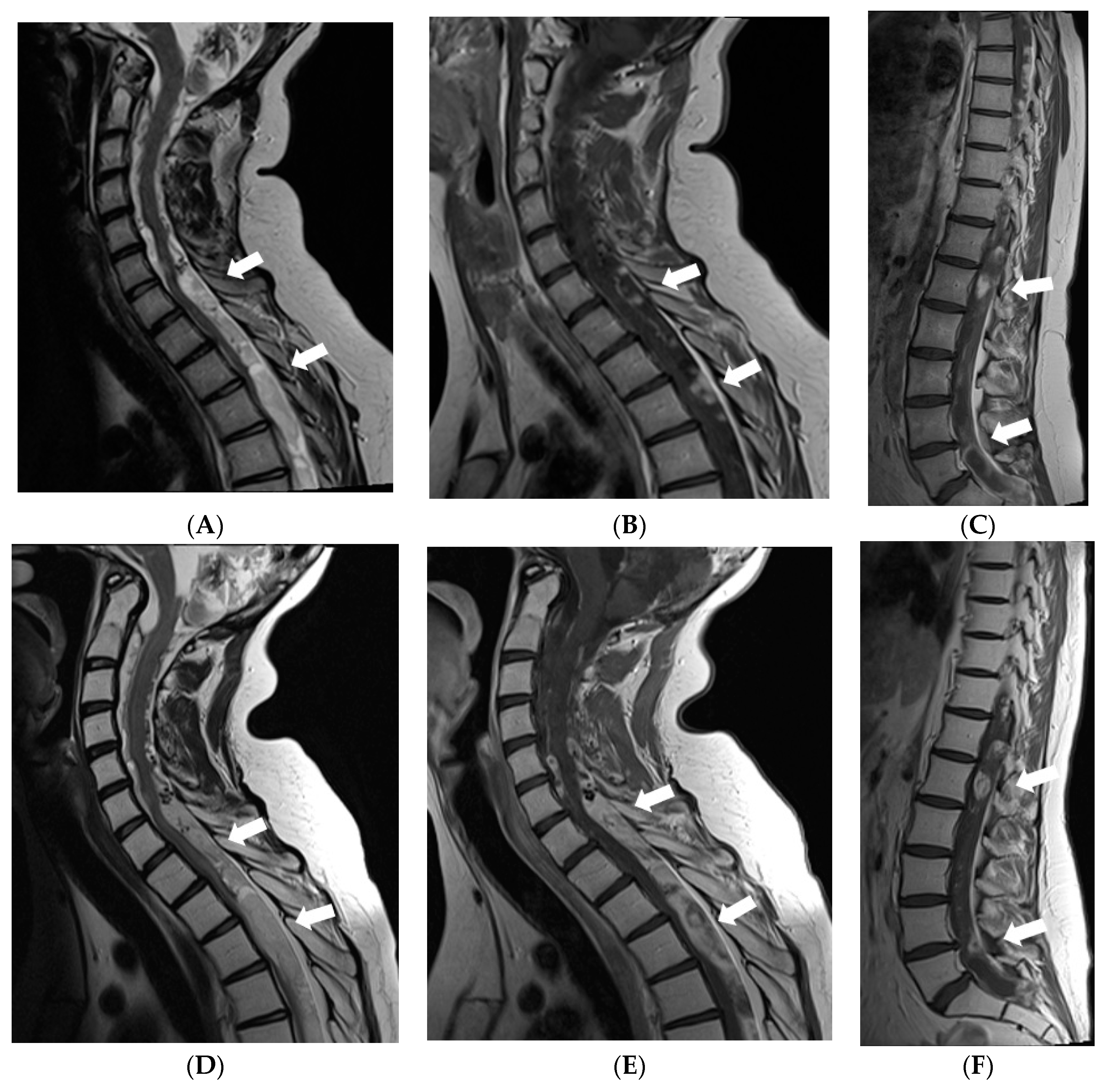 Diagnostics 12 00342 g005 550