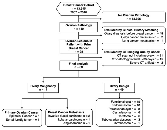 invasive ductal carcinoma pathophysiology