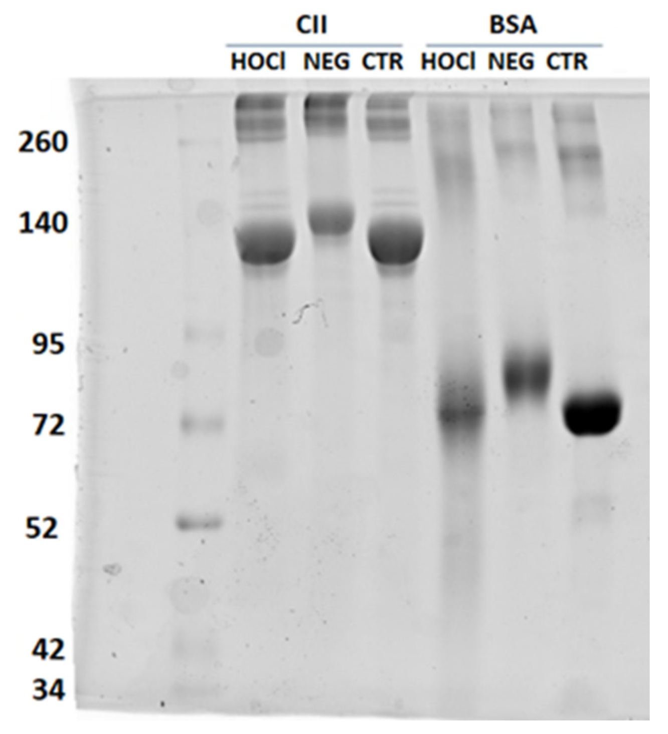 Diagnostics 12 00352 g0a1 Diagnostics 12 00352 g0a1