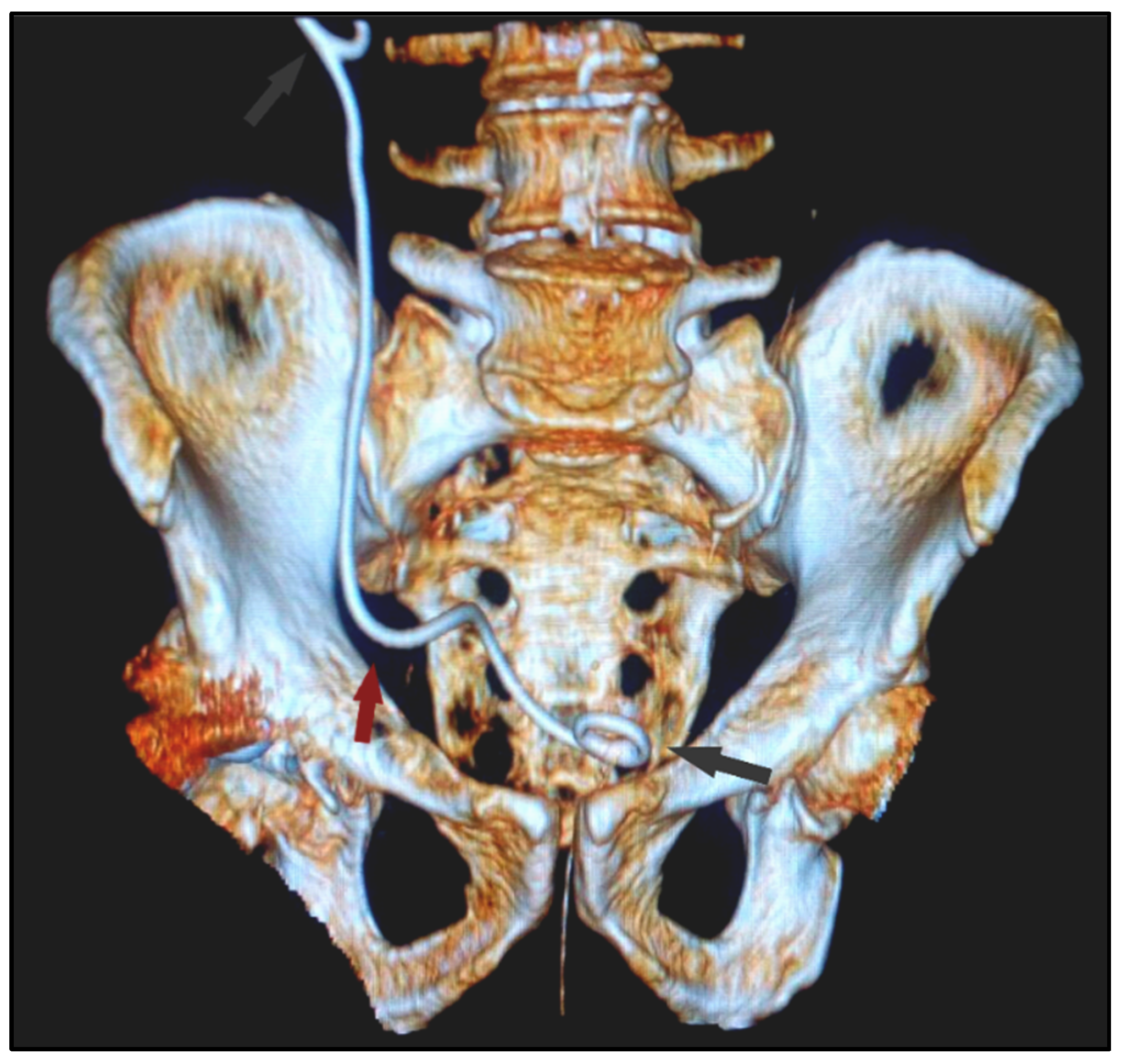 Diagnostics 12 00353 g001 Diagnostics 12 00353 g001