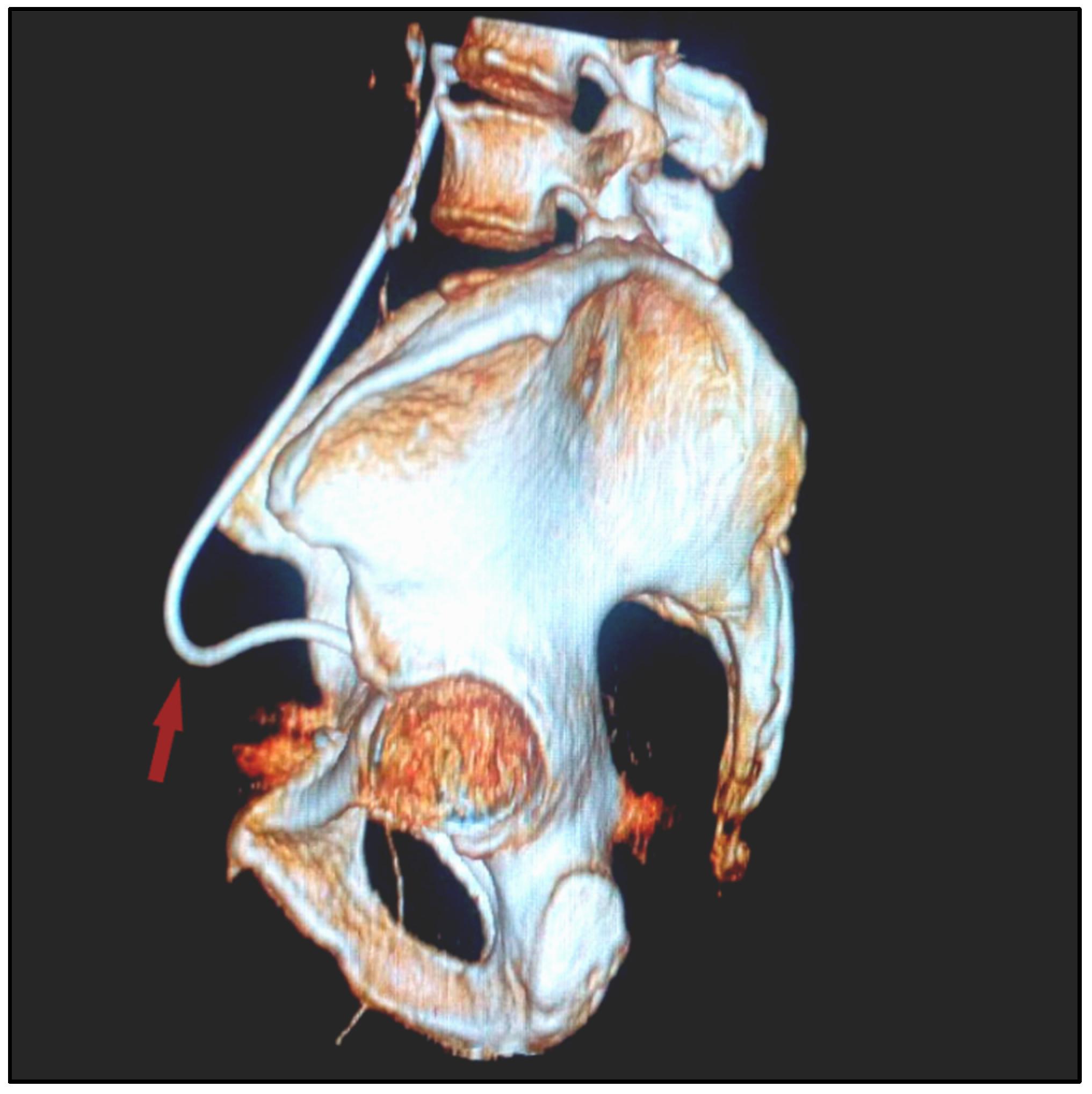 Diagnostics 12 00353 g002 Diagnostics 12 00353 g002