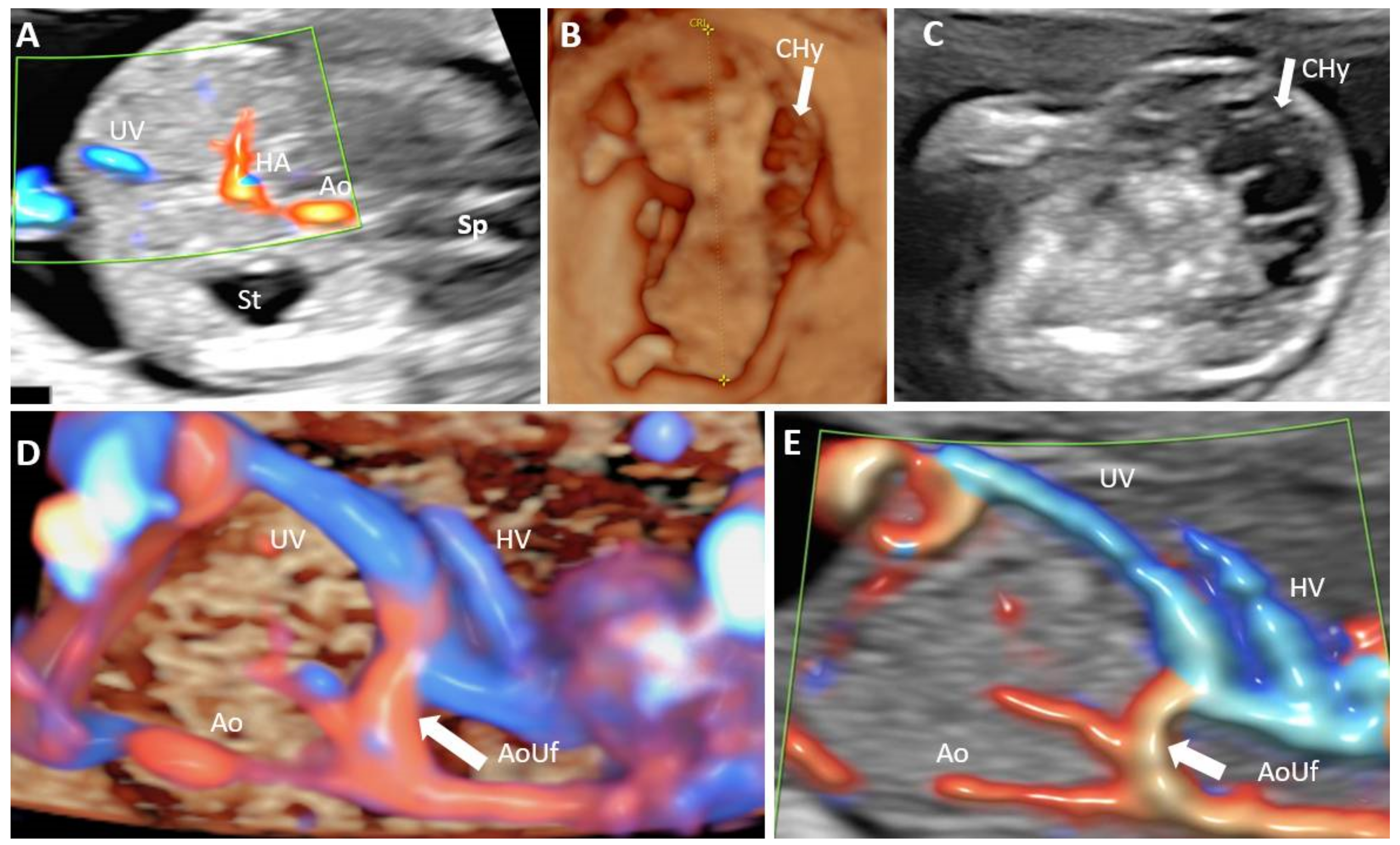 Diagnostics 12 00361 g004 550