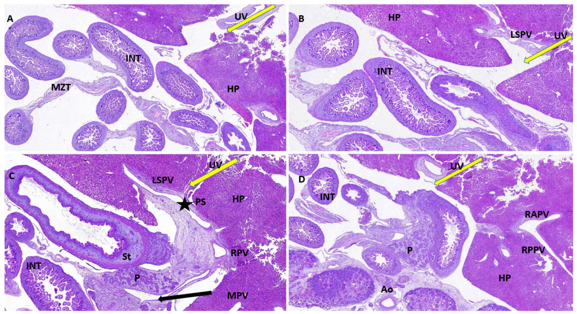Diagnostics 12 00361 g006 550