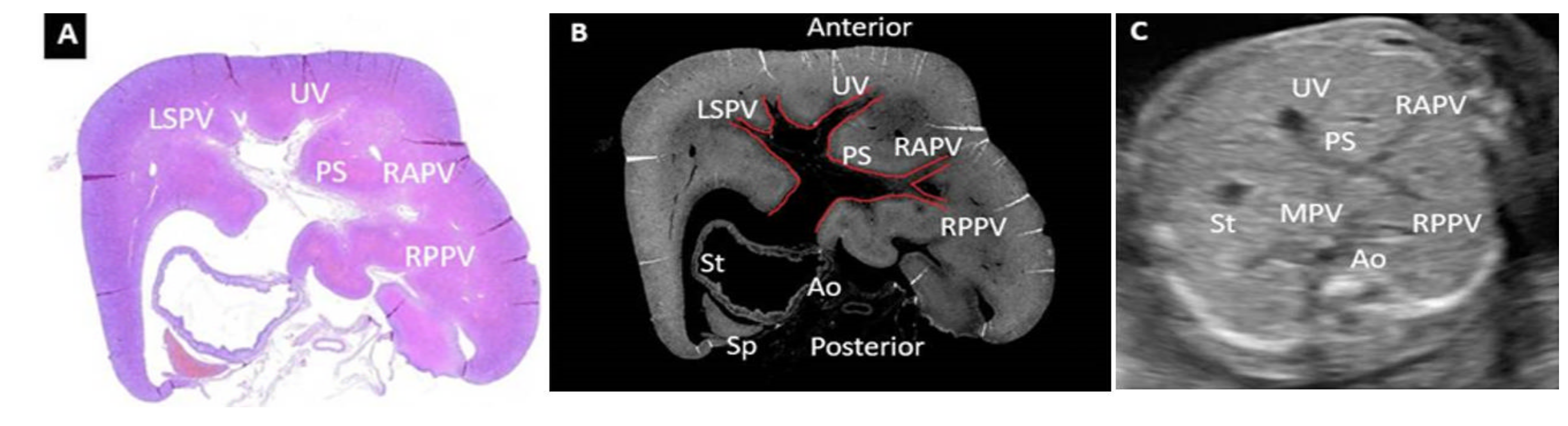 Diagnostics 12 00361 g007 550