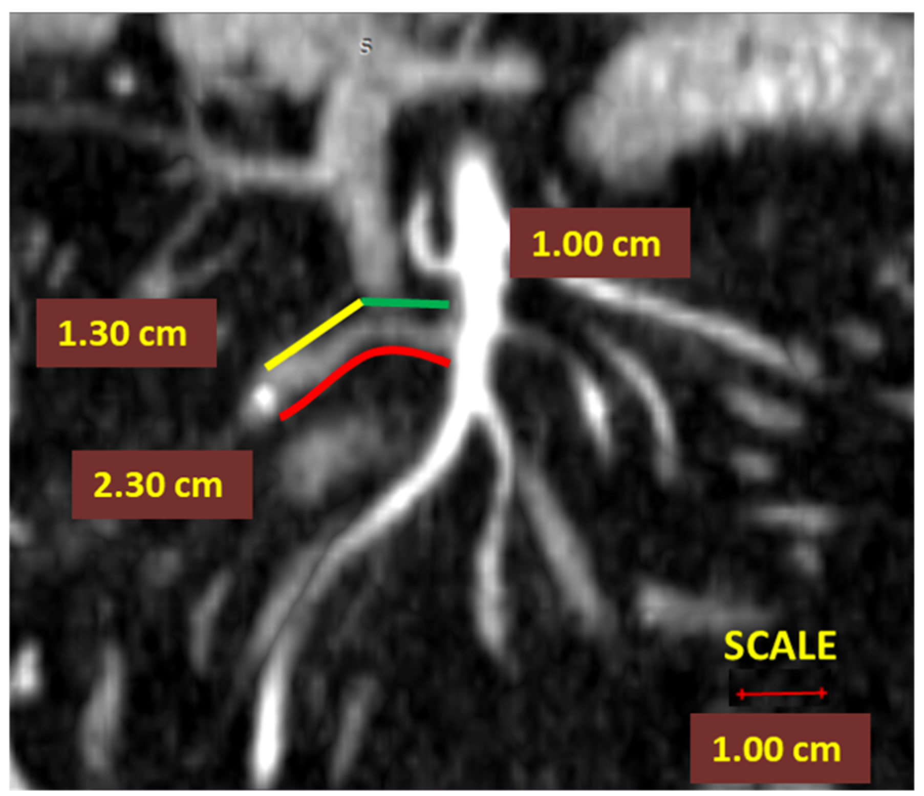 Diagnostics 12 00363 g002