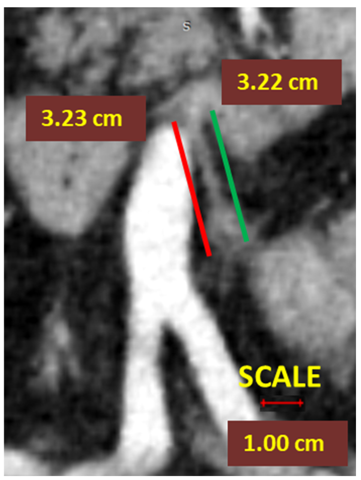 Diagnostics 12 00363 g003
