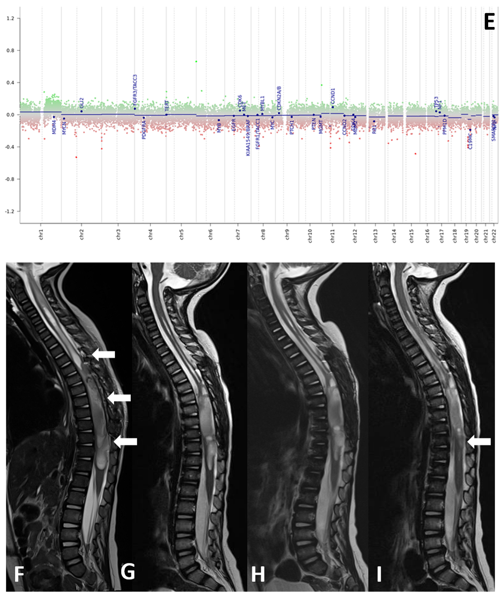 Diagnostics 12 00372 g001b 550