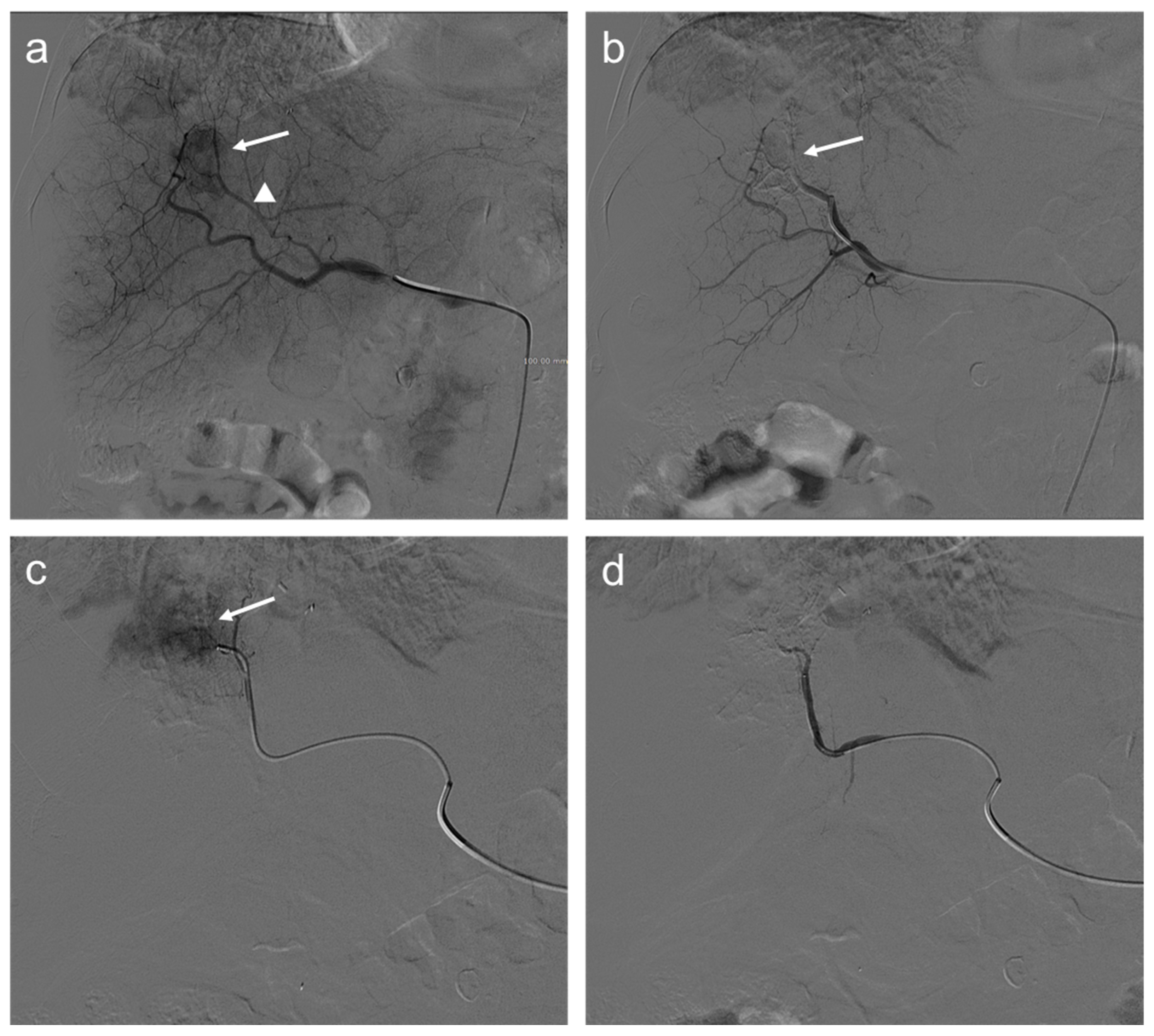 Diagnostics 12 00374 g002