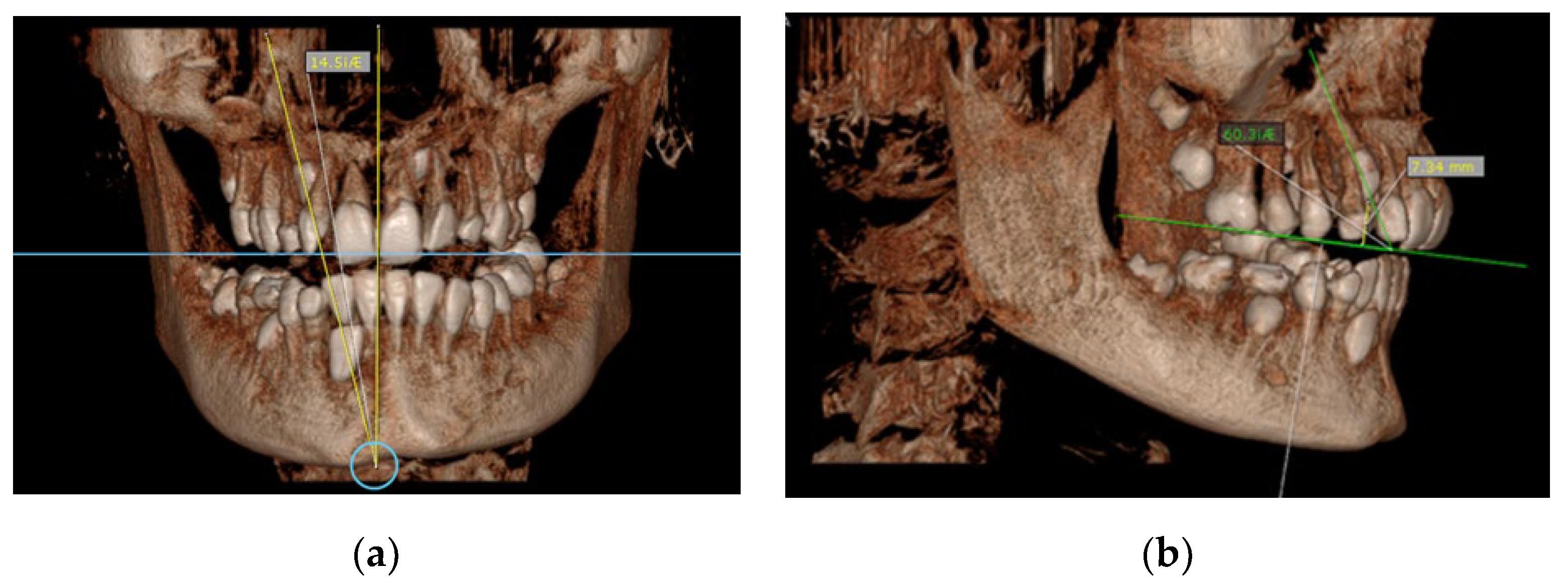 Diagnostics 12 00380 g003 550