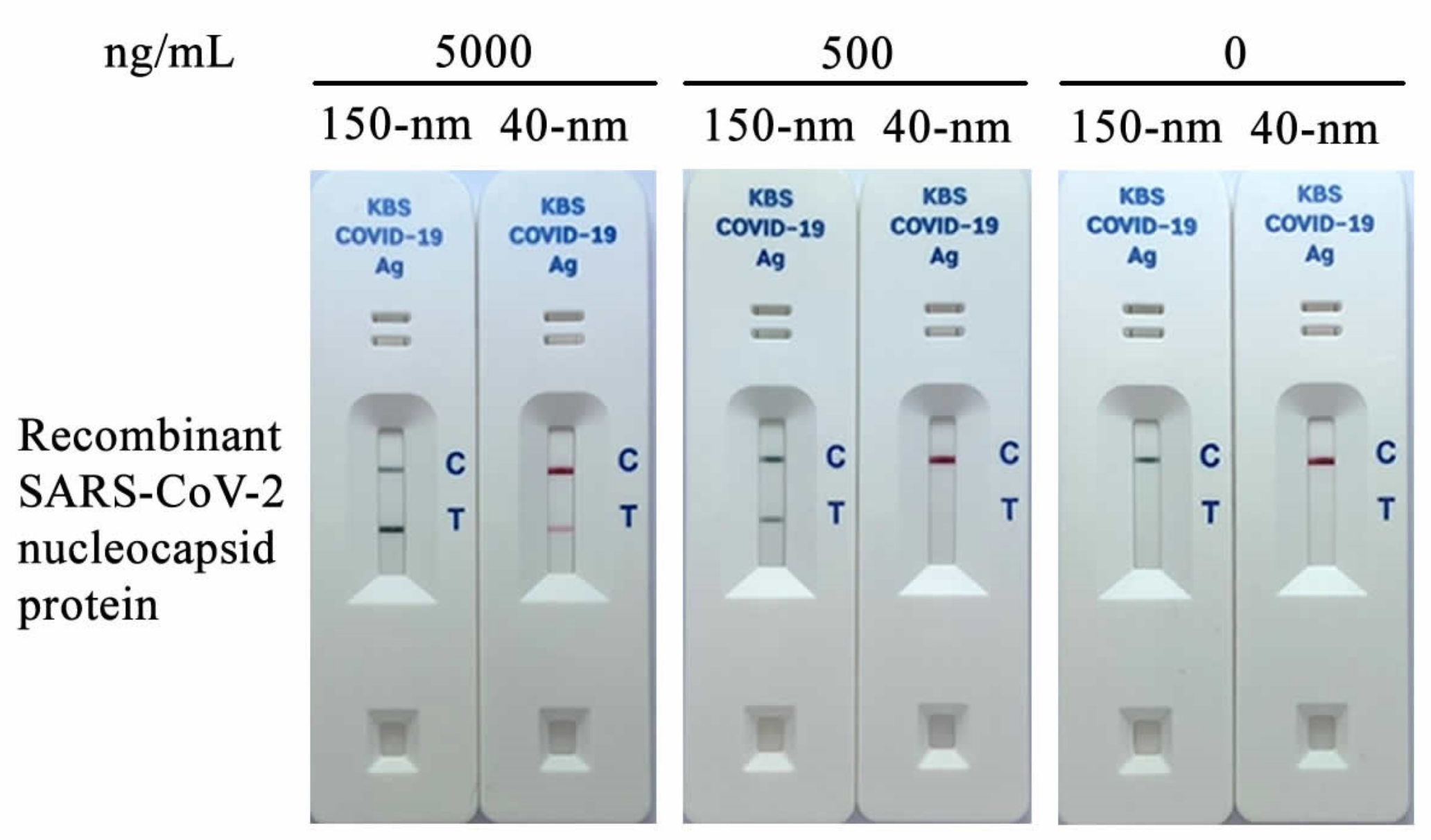 Diagnostics 12 00381 g002