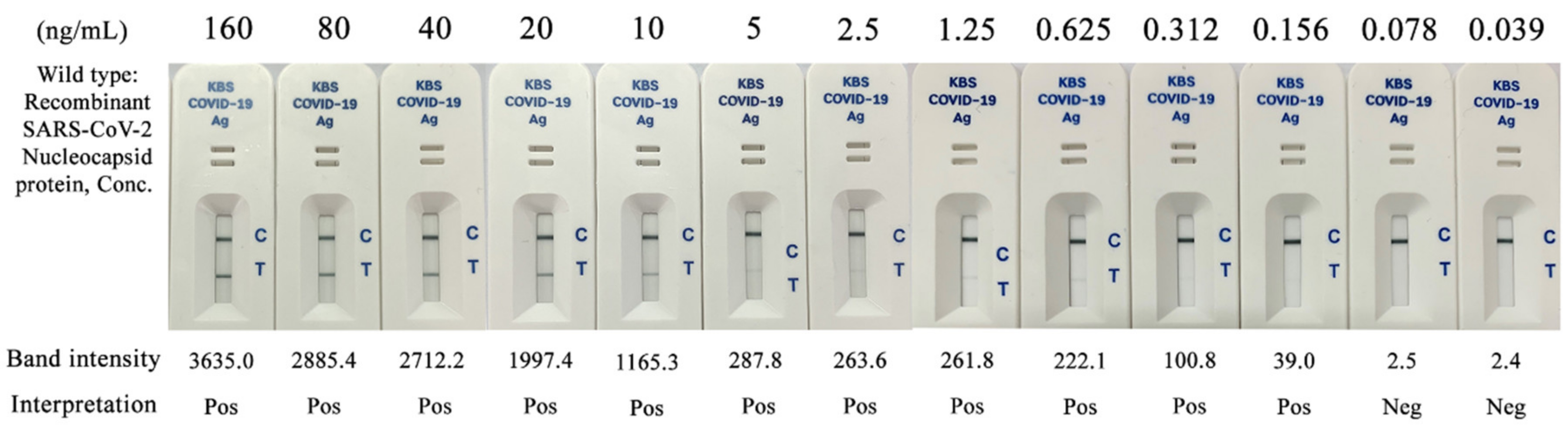 Diagnostics 12 00381 g003