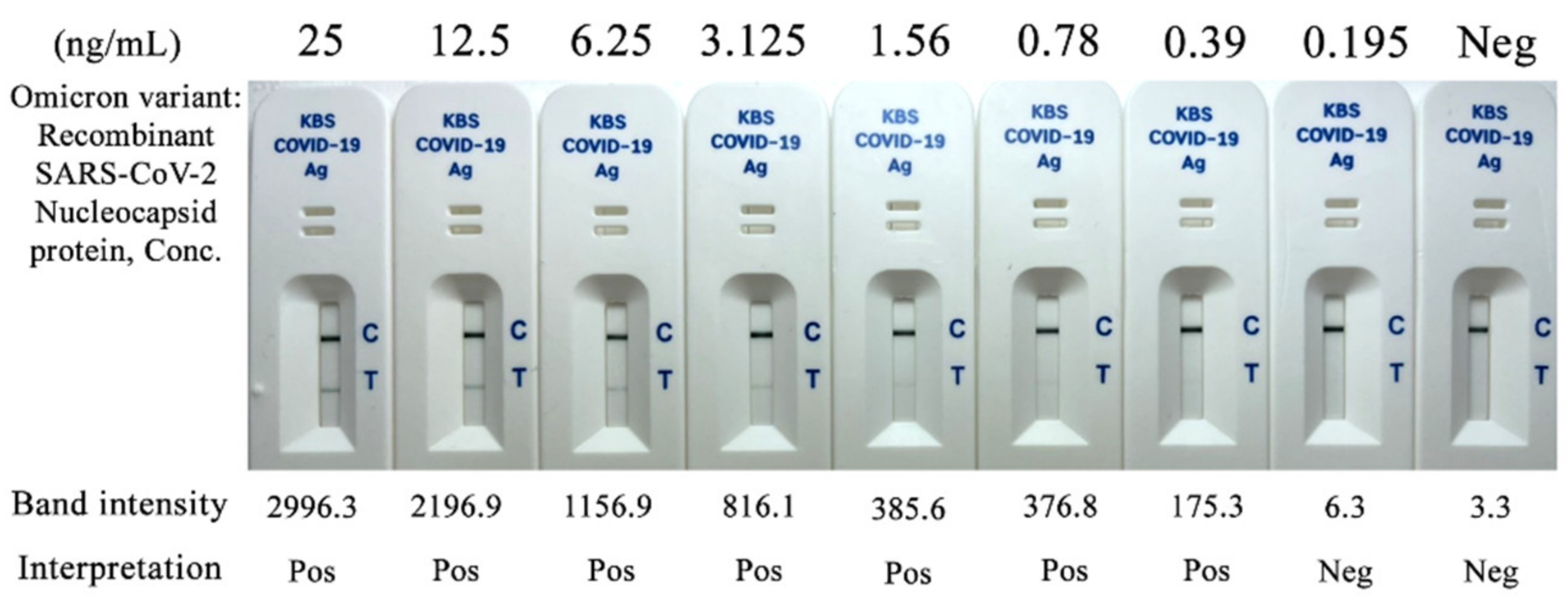 Diagnostics 12 00381 g004