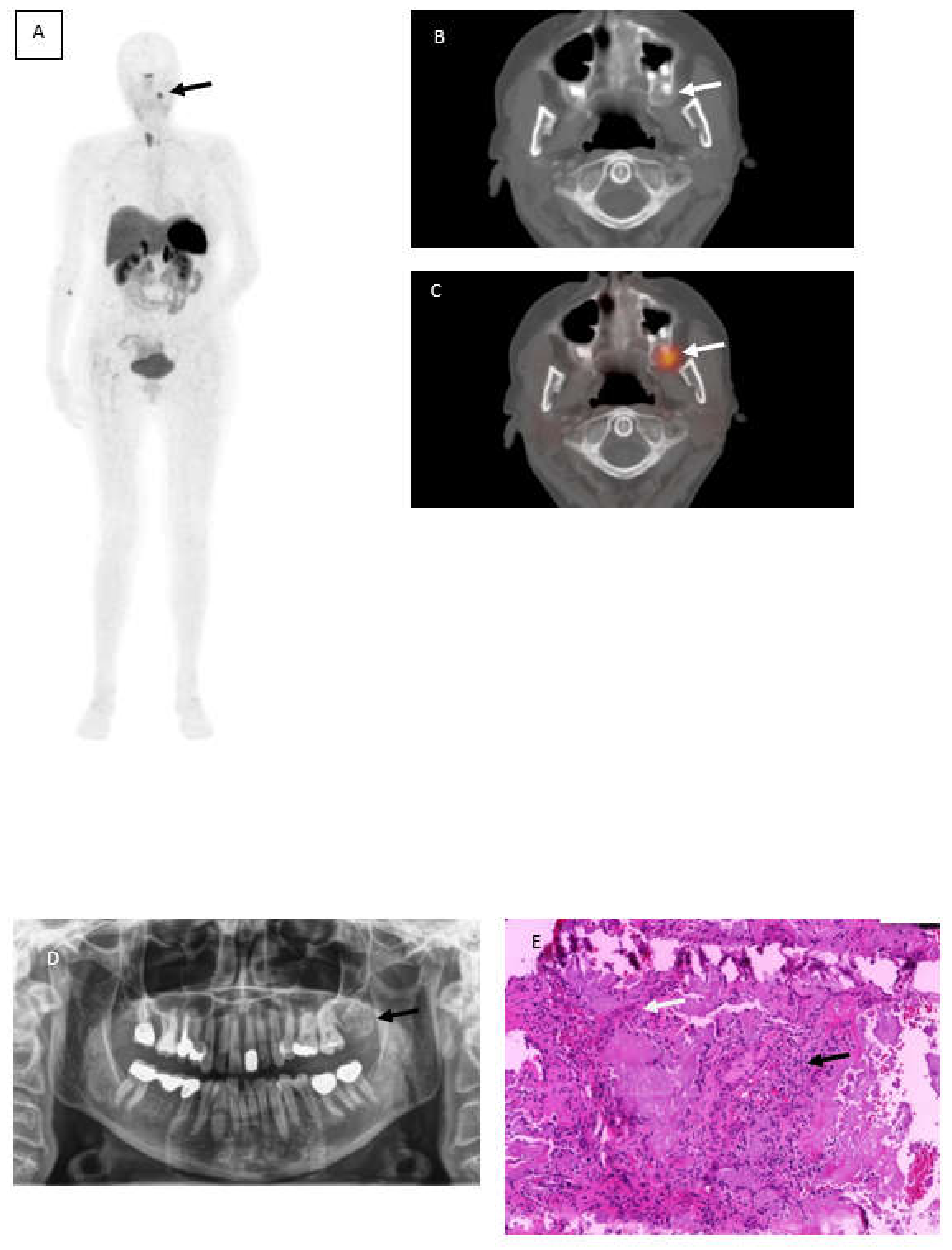 Diagnostics 12 00389 g001