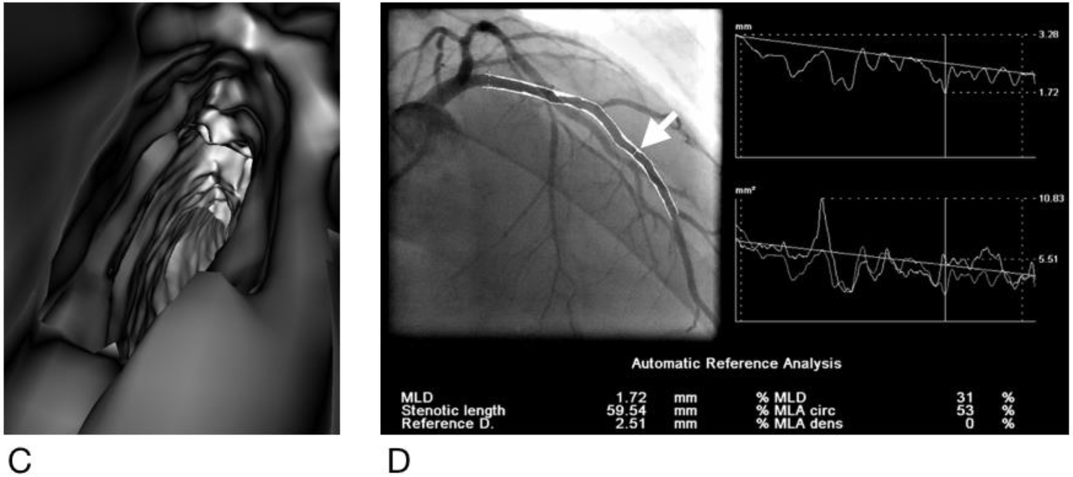Diagnostics 12 00390 g001b