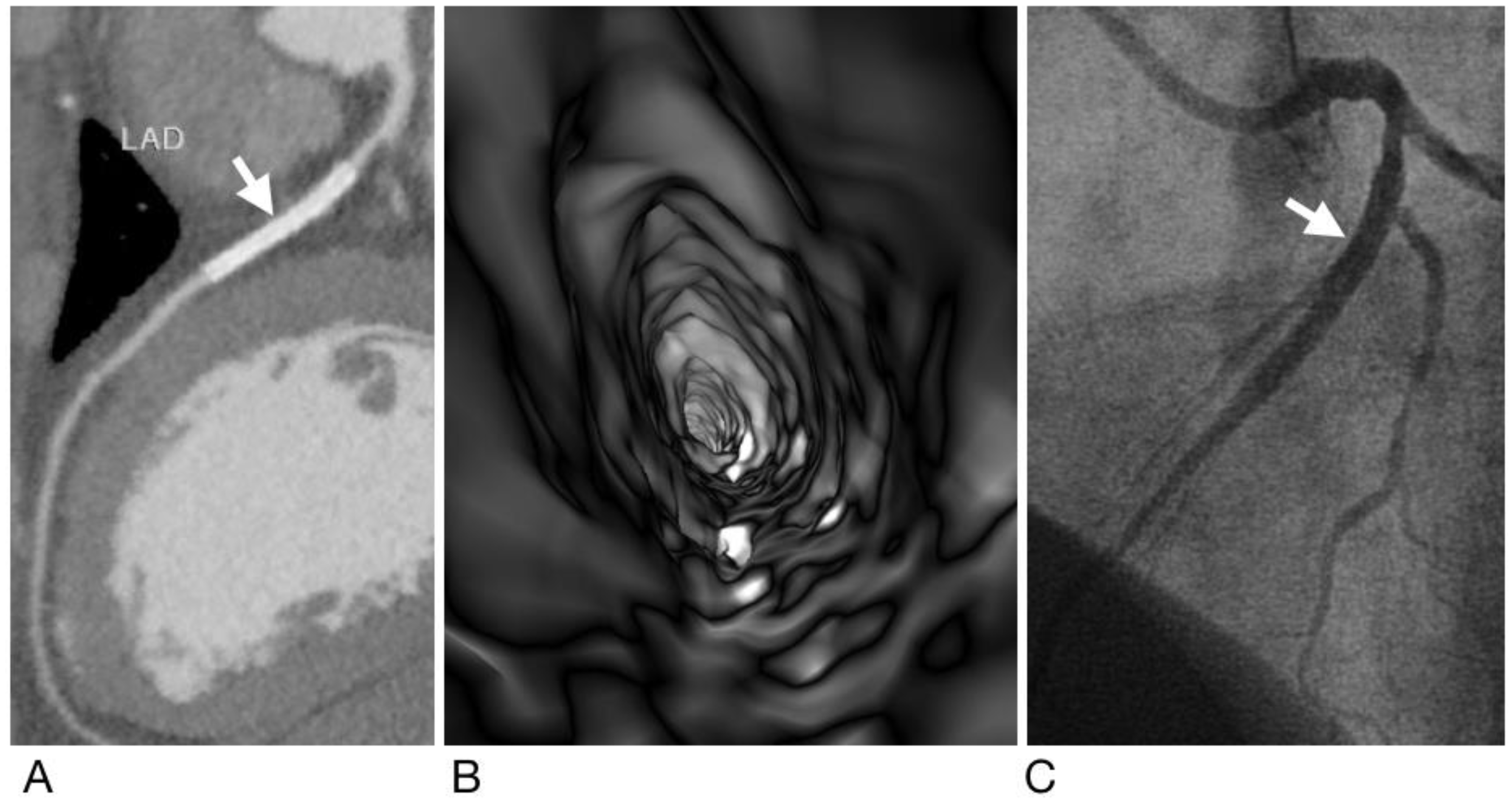 Diagnostics 12 00390 g002