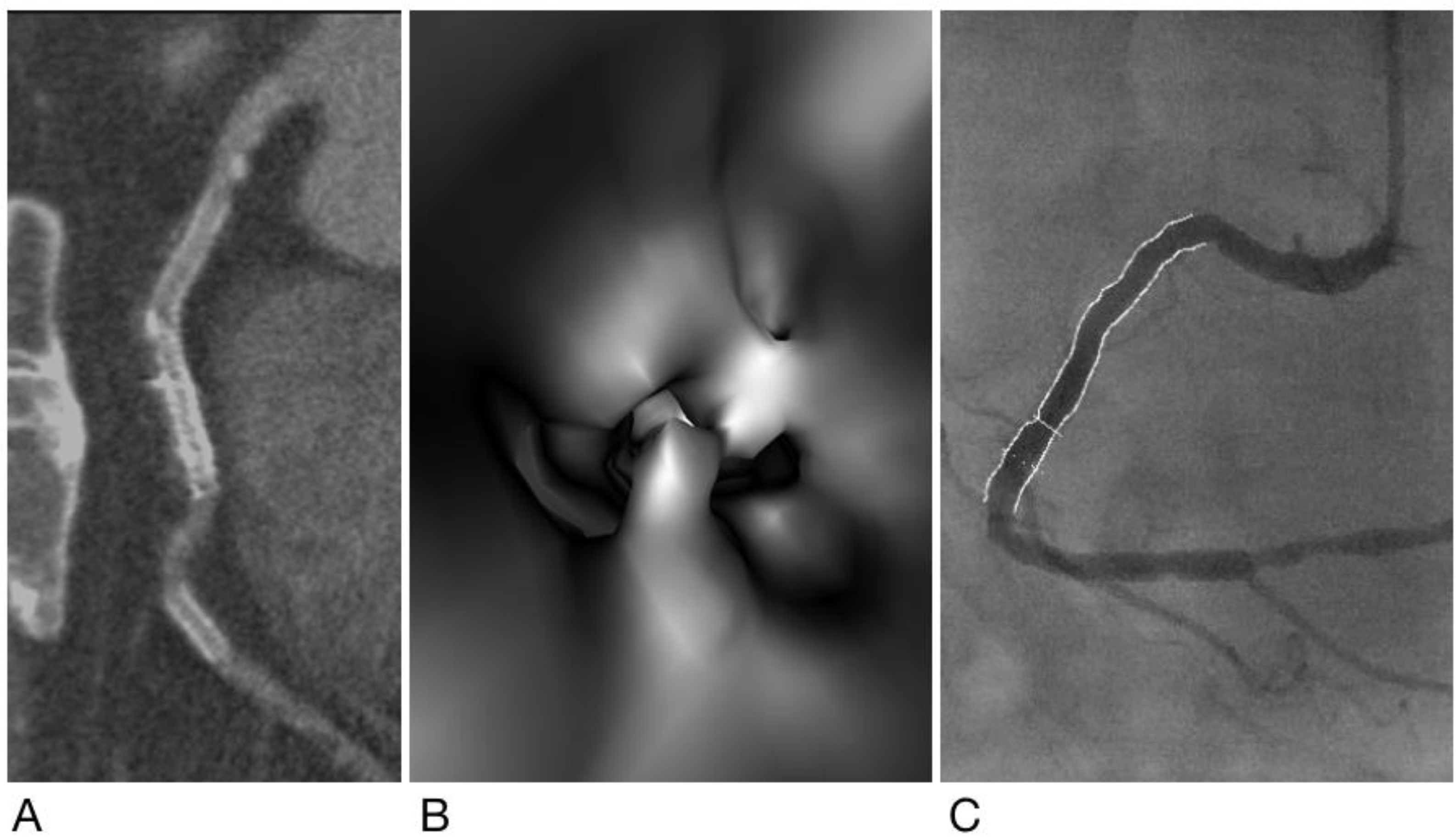 Diagnostics 12 00390 g005