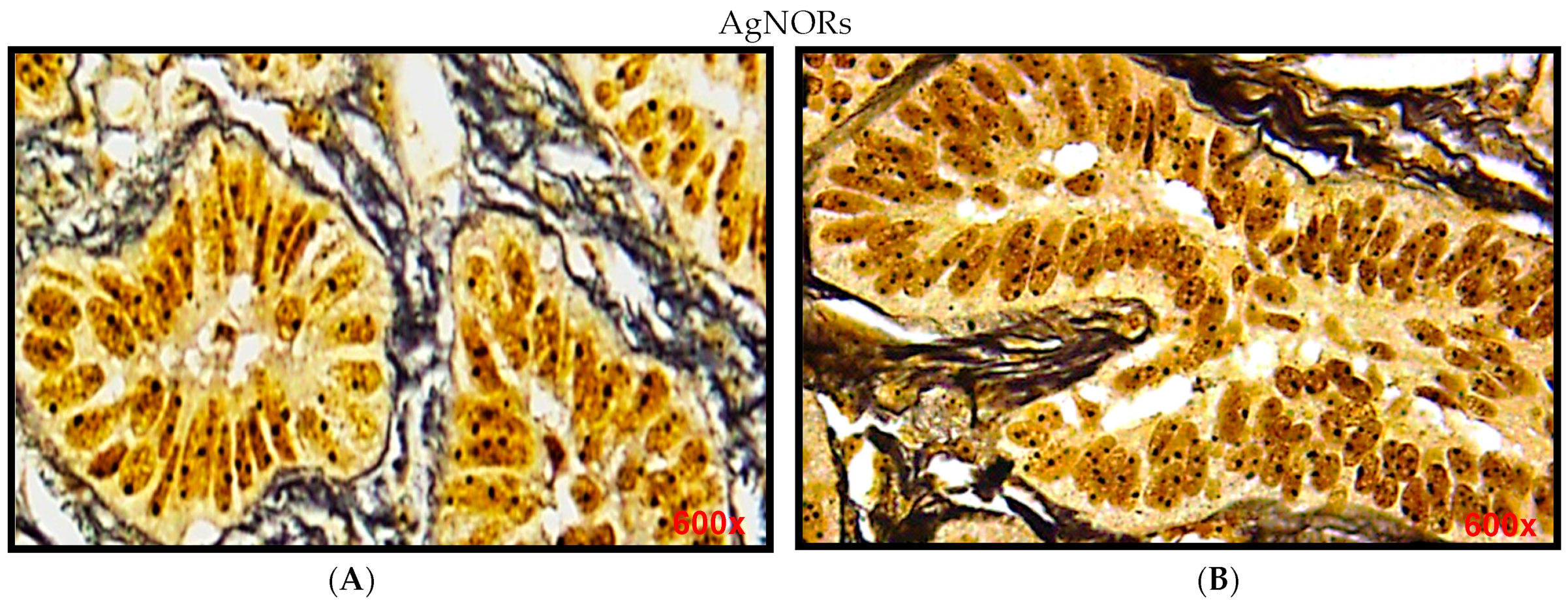 Diagnostics 12 00392 g001