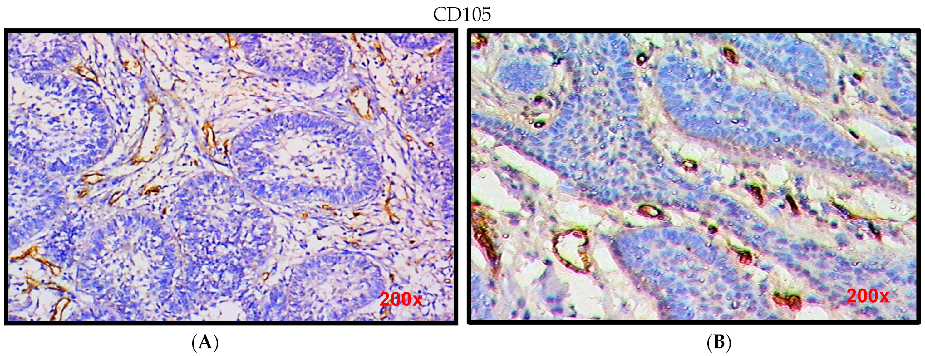 Diagnostics 12 00392 g002