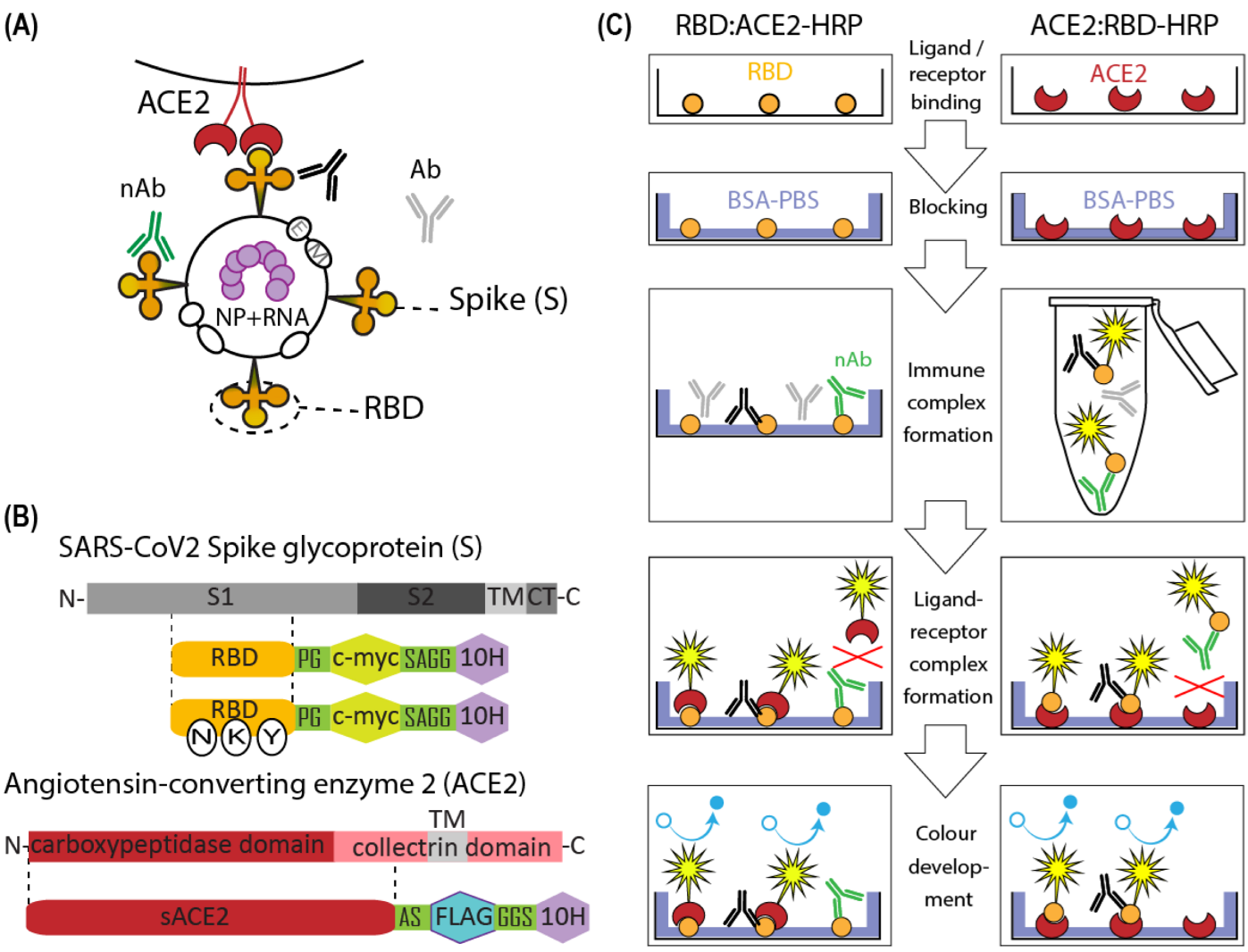 Diagnostics 12 00393 g001