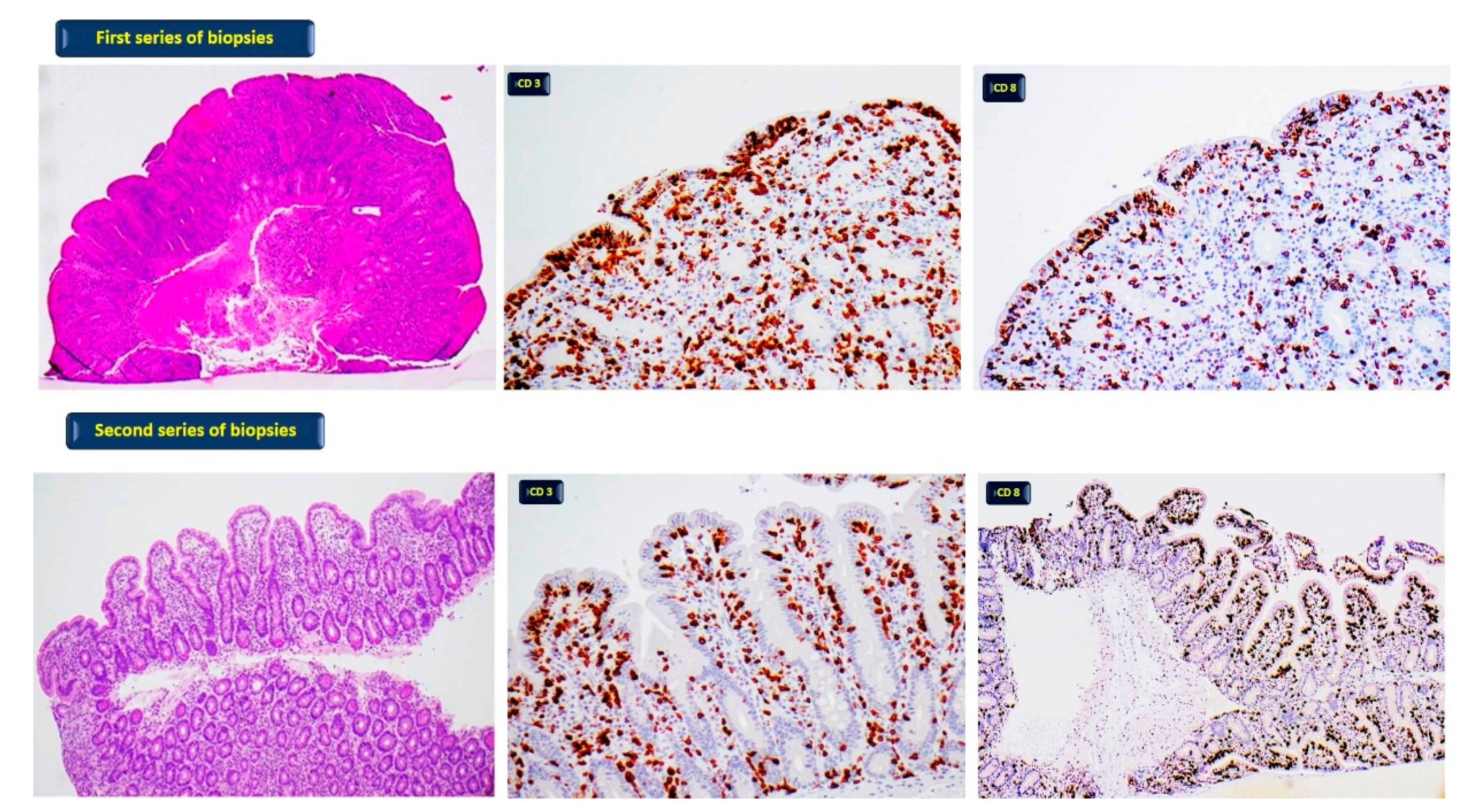 Diagnostics 12 00395 g001 550
