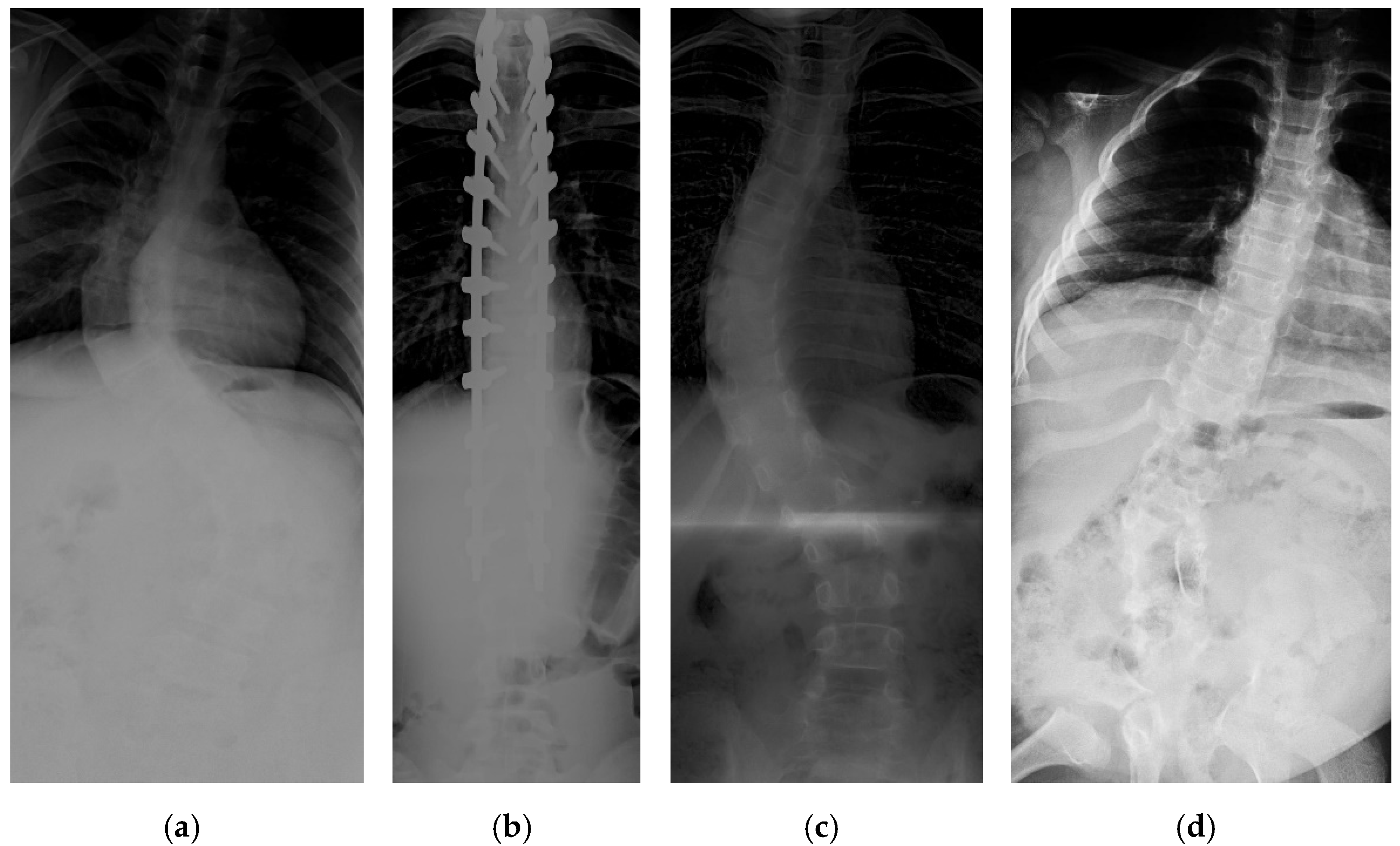 Diagnostics 12 00396 g001 550