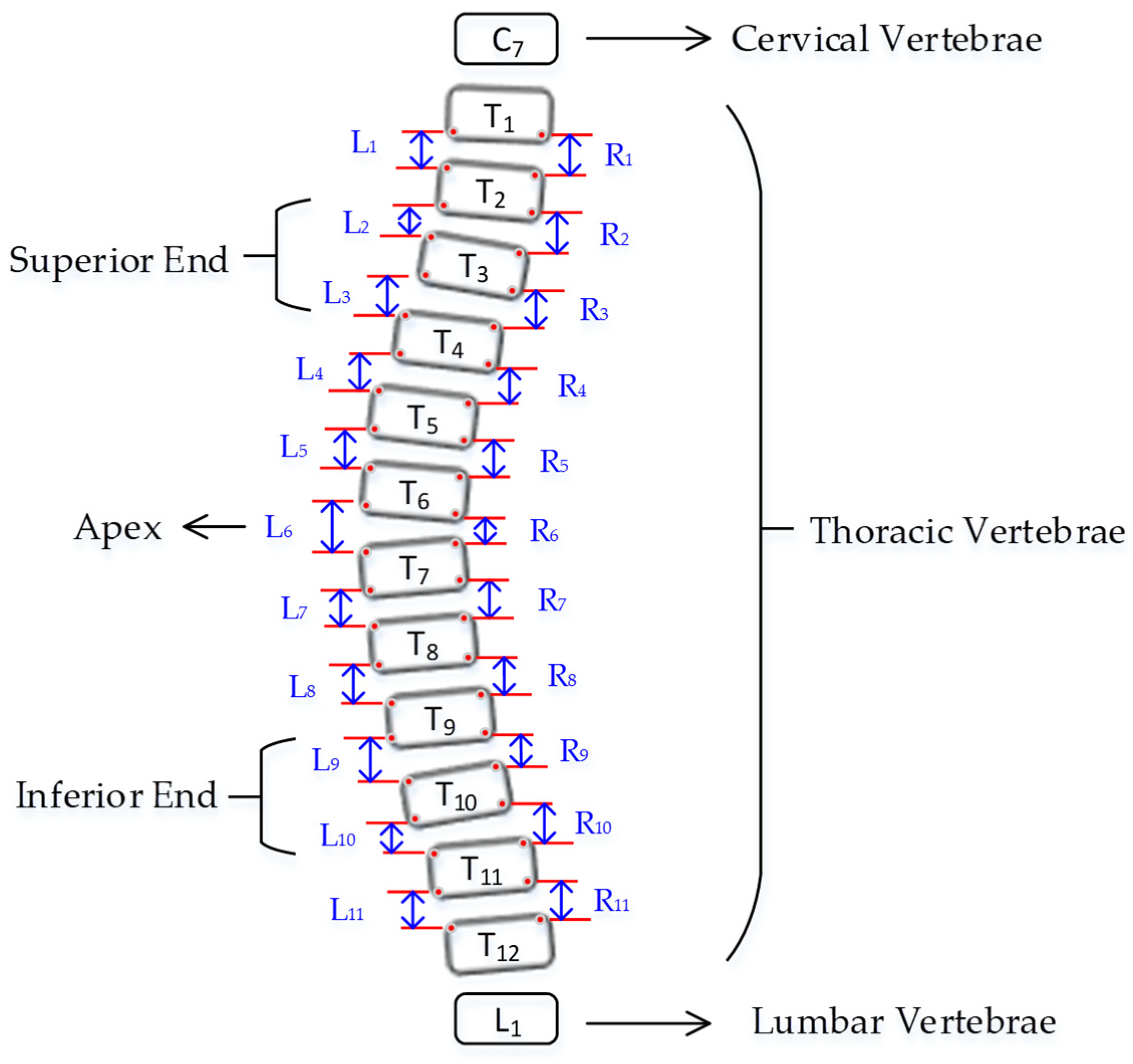 Diagnostics 12 00396 g008 550