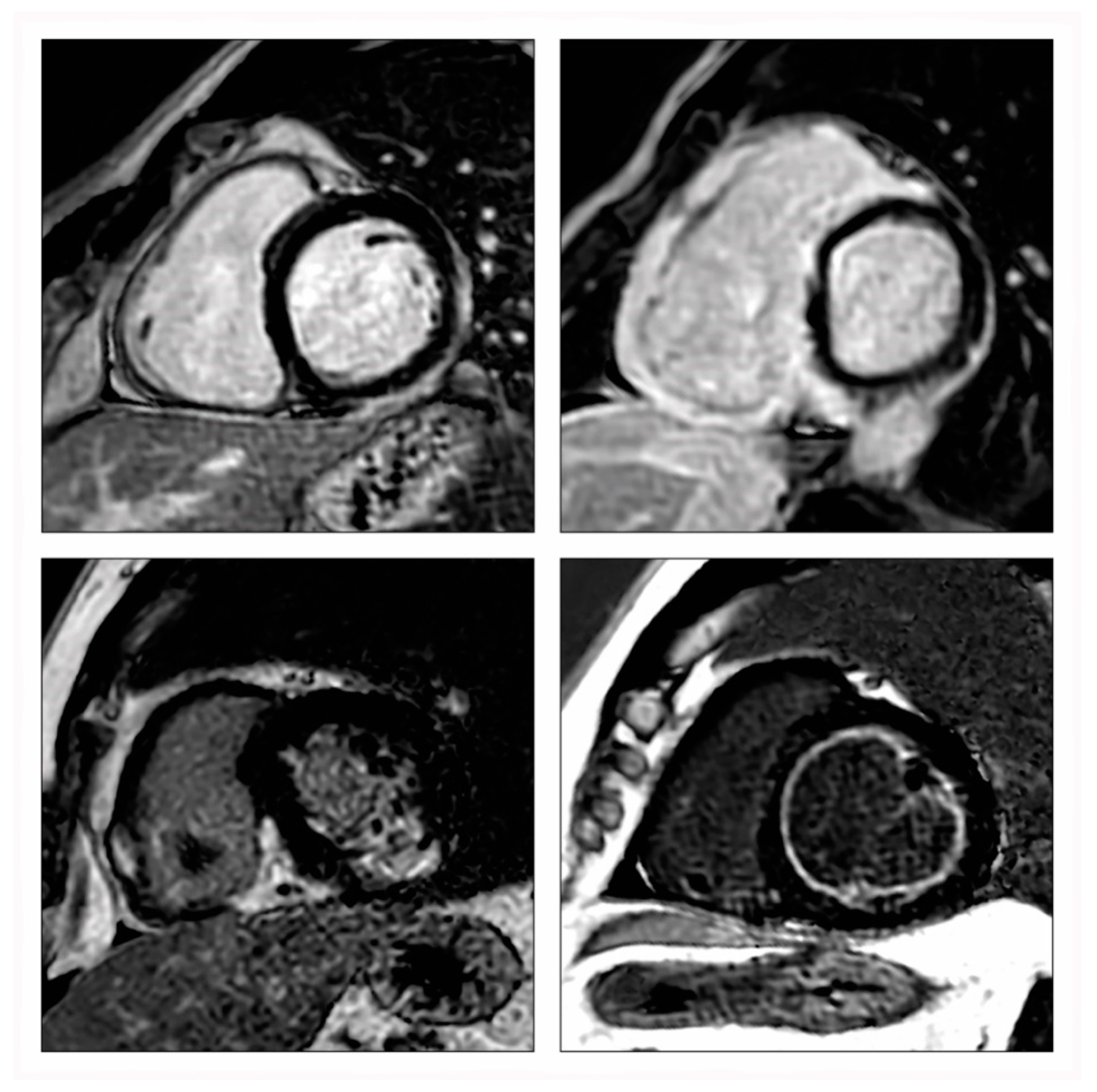 Diagnostics 12 00399 g002 Diagnostics 12 00399 g002