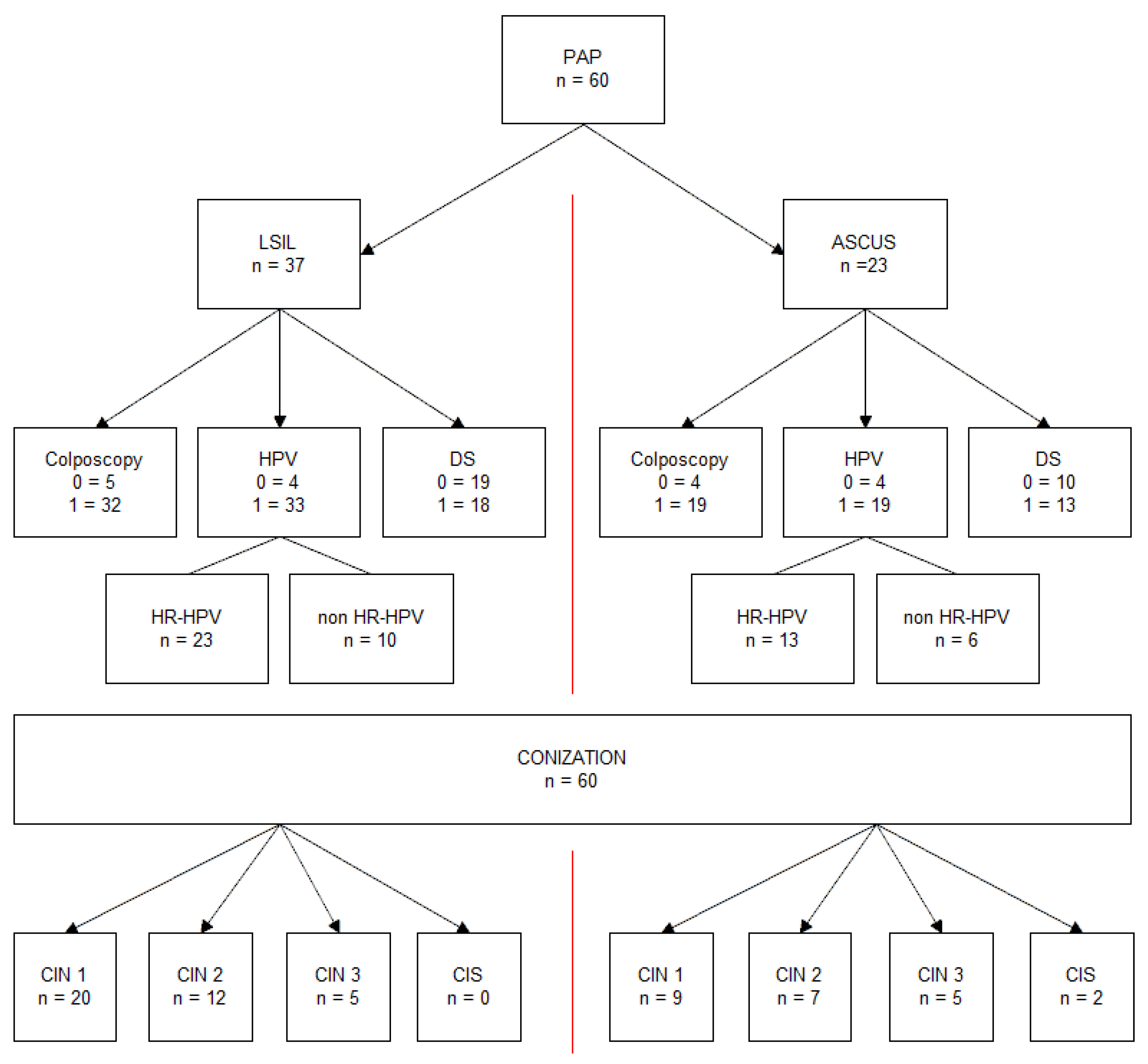 Diagnostics 12 00403 g001