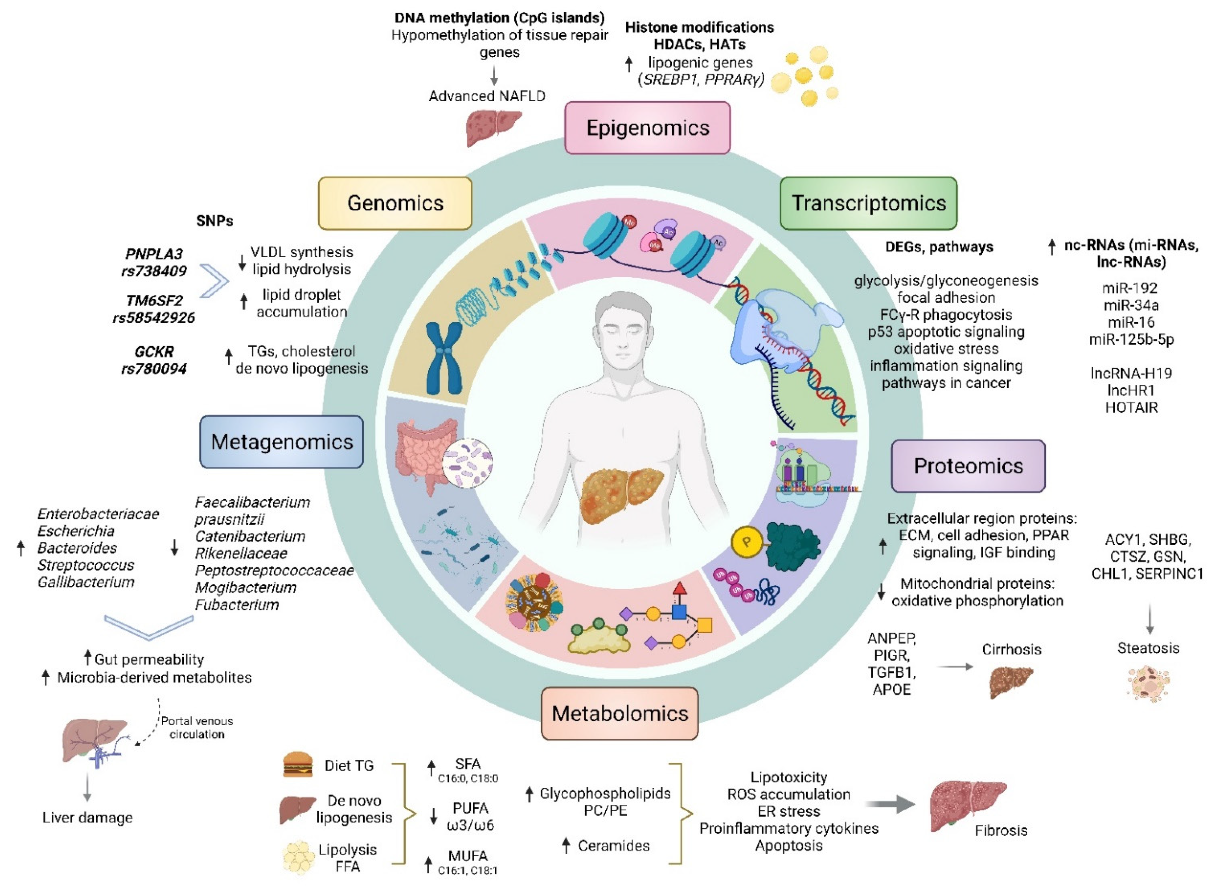 Diagnostics 12 00407 g002 550