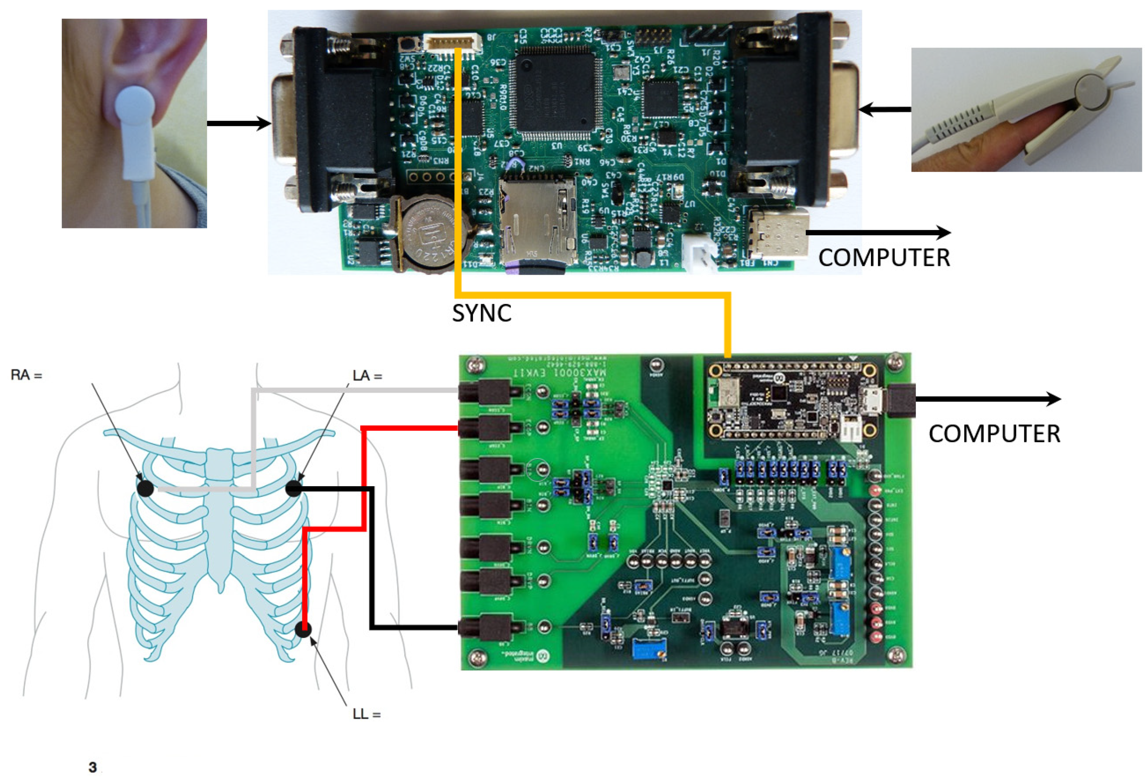 Diagnostics 12 00412 g004 550
