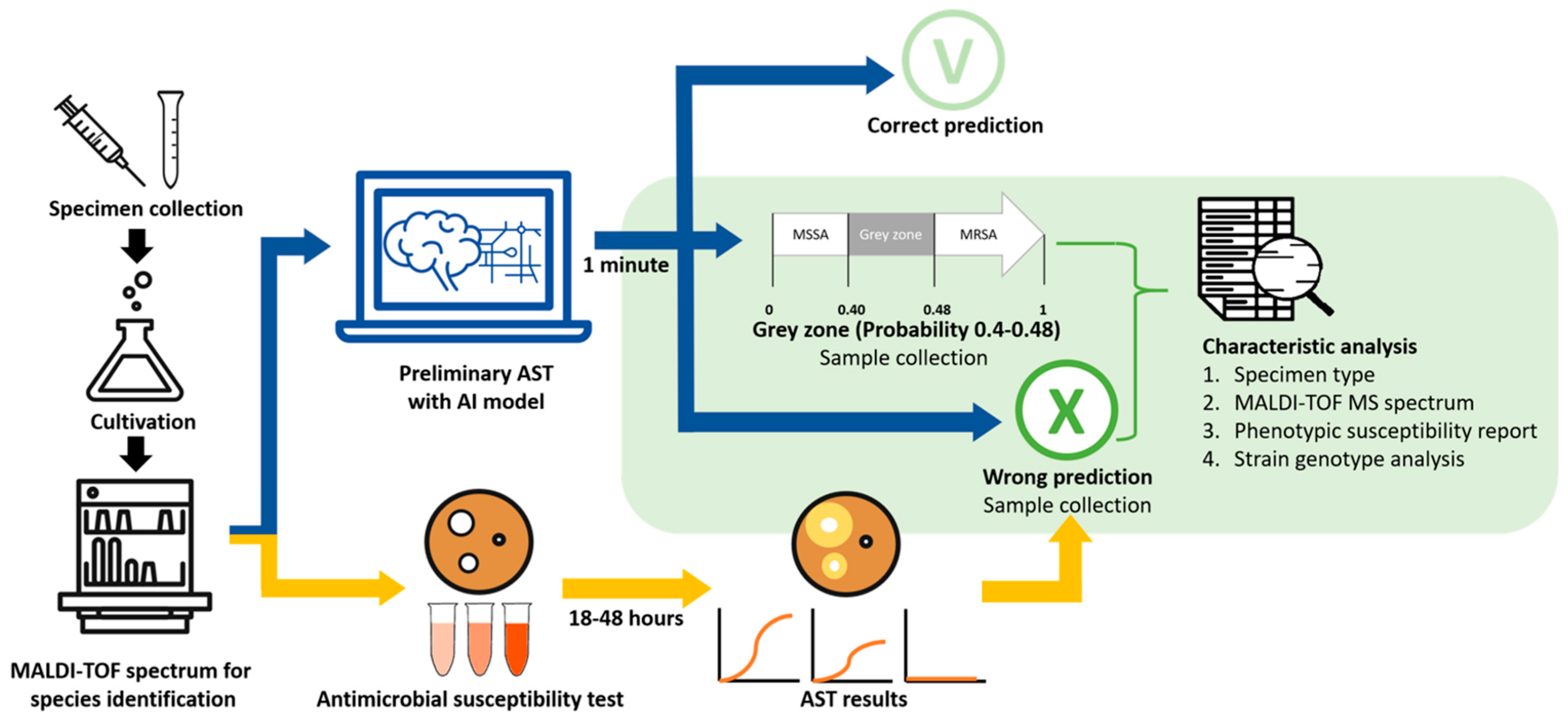 Diagnostics 12 00413 g001