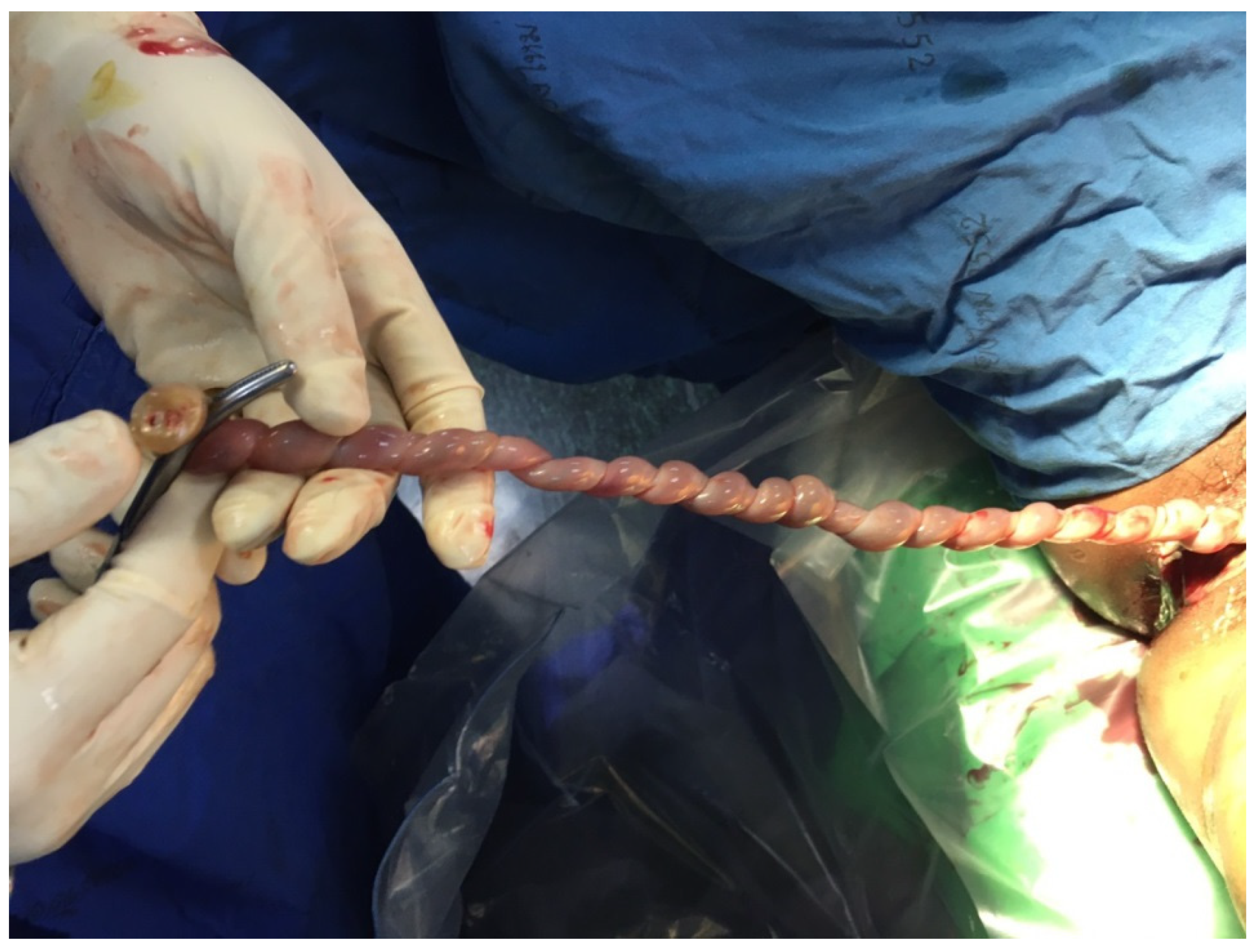 Diagnostics 12 00421 g003 Diagnostics 12 00421 g003