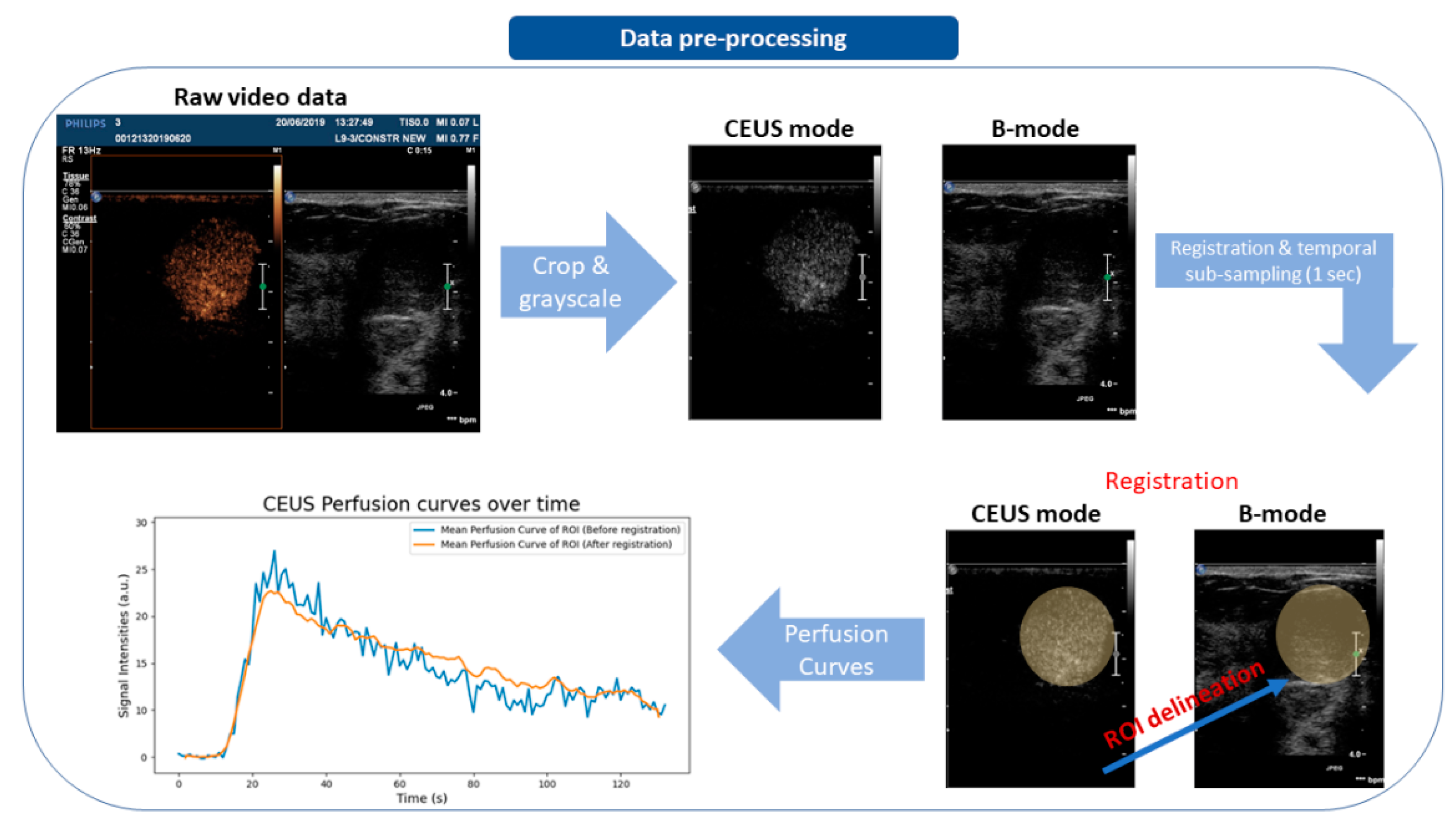 Diagnostics 12 00425 g001