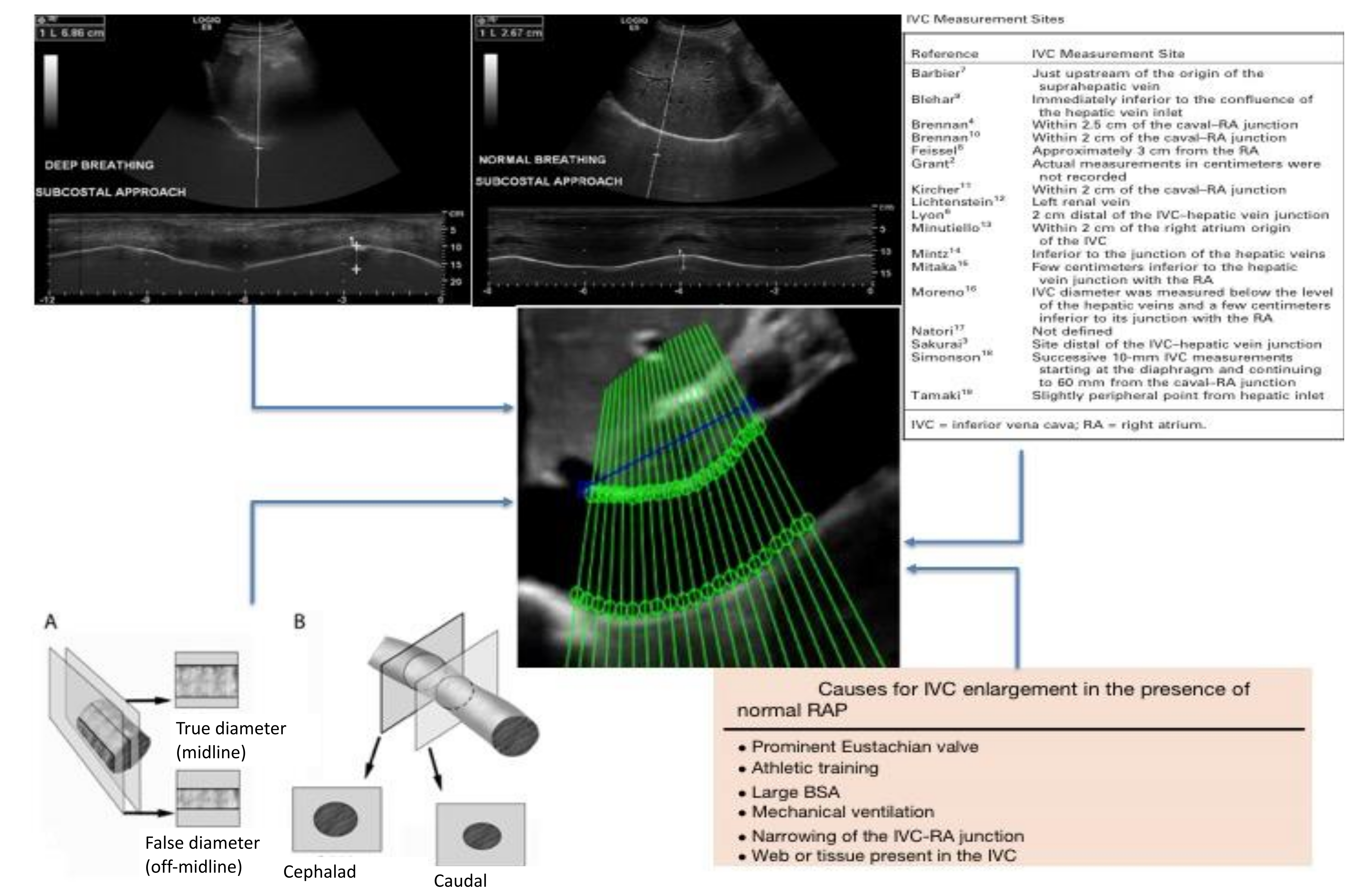 Diagnostics 12 00427 g002 Diagnostics 12 00427 g002
