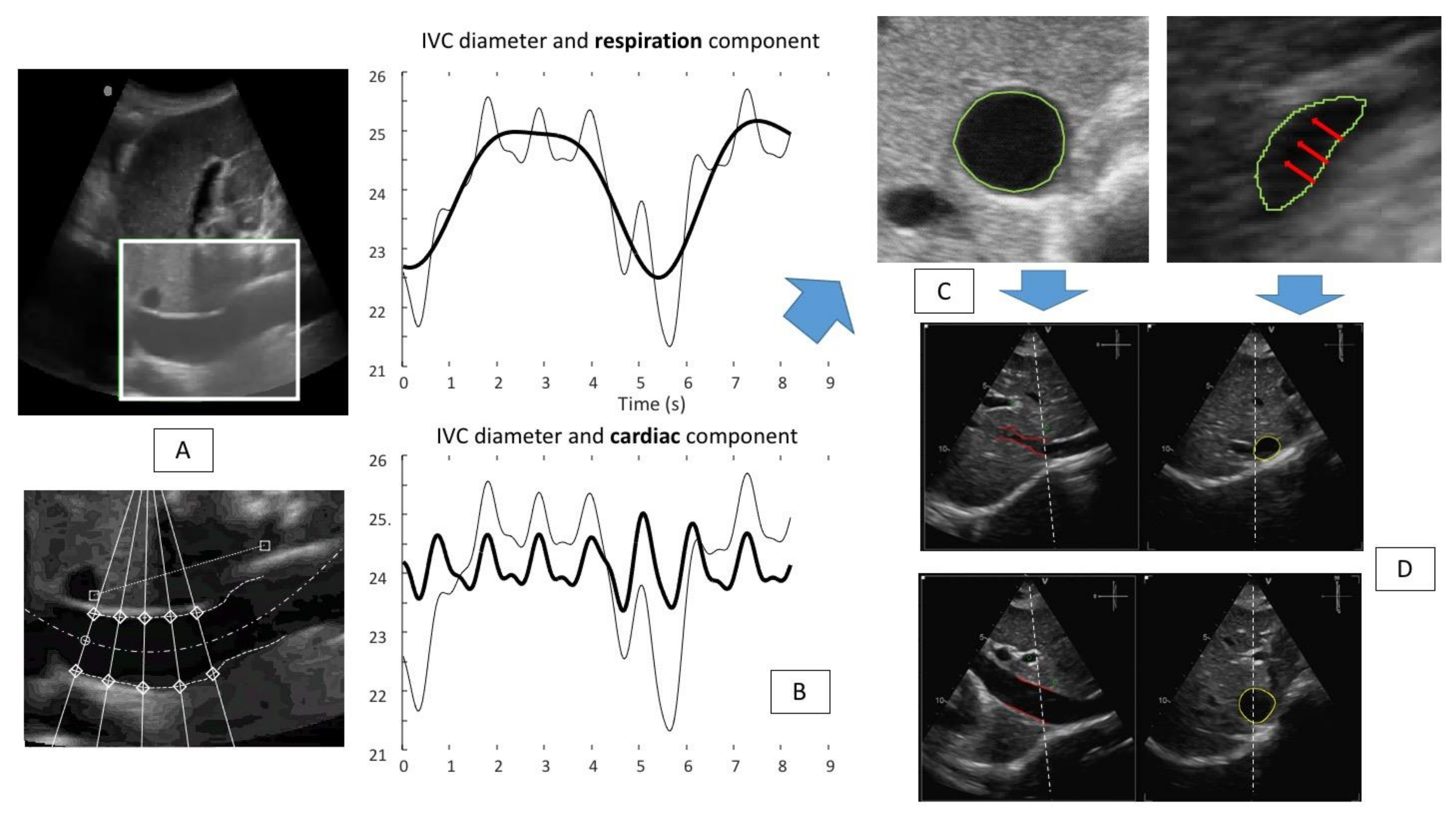 Diagnostics 12 00427 g003 Diagnostics 12 00427 g003