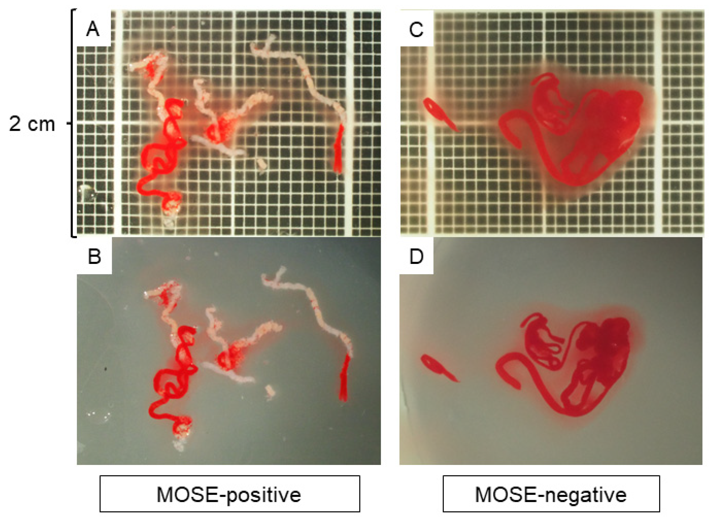 Diagnostics 12 00434 g001 550