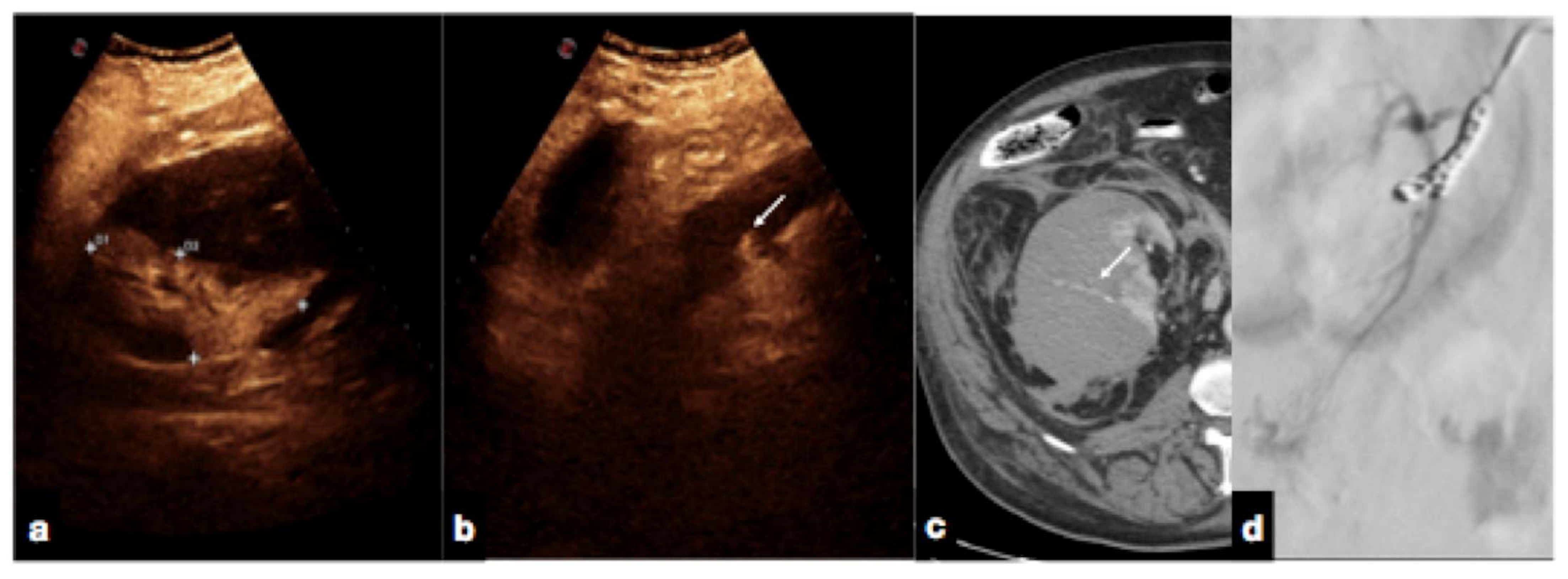 Diagnostics 12 00435 g017