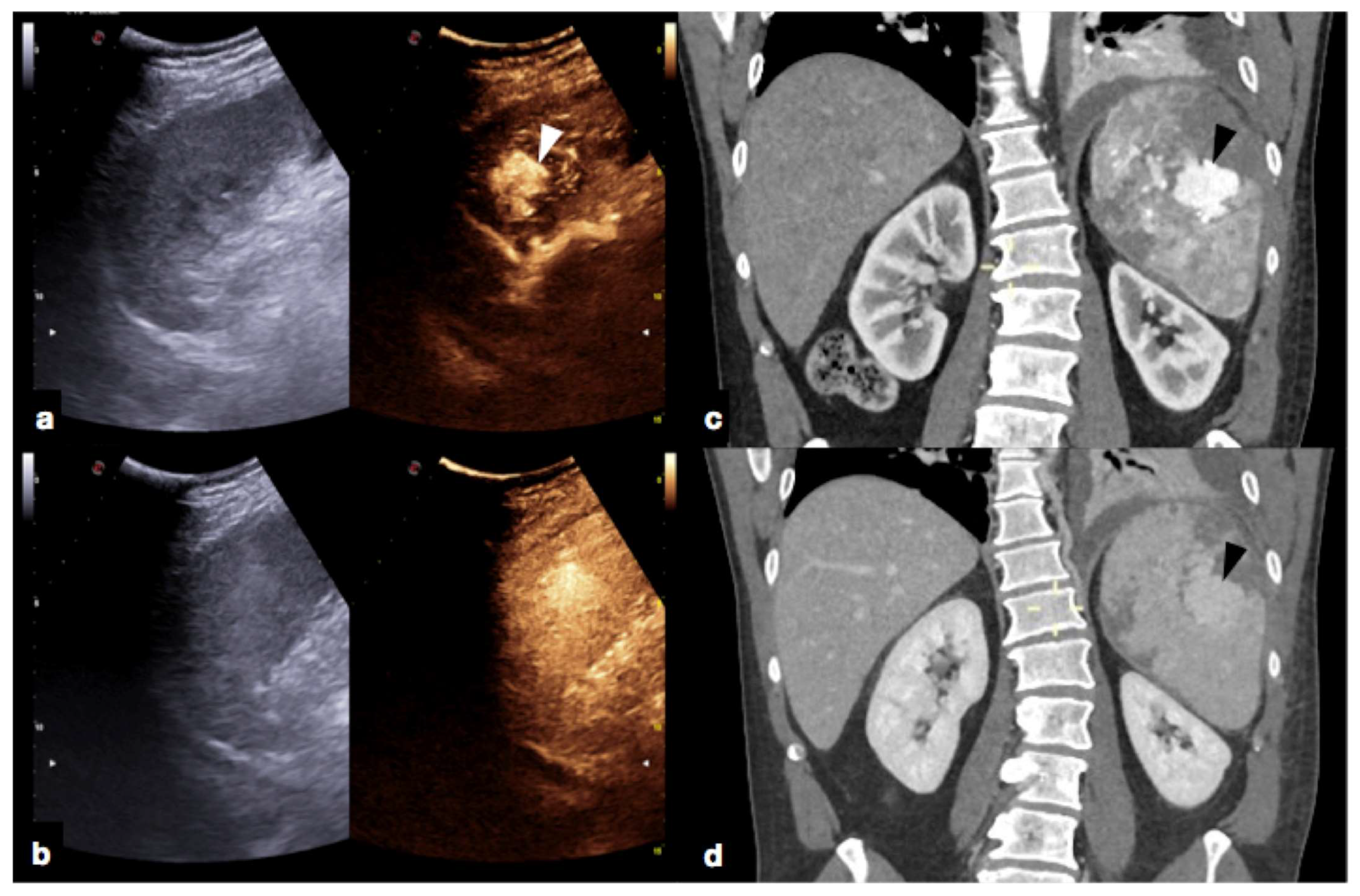 Diagnostics 12 00435 g019
