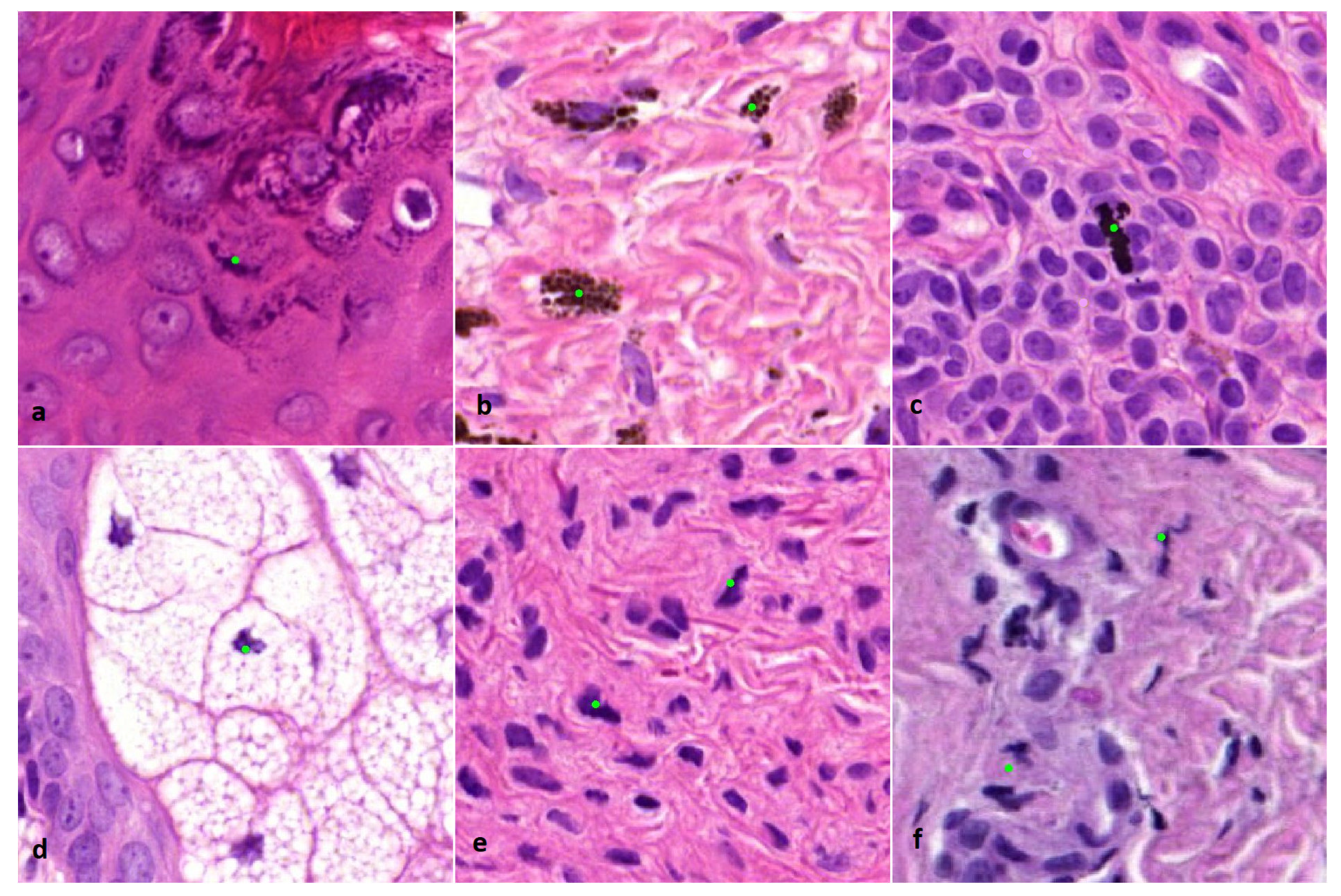 Diagnostics 12 00436 g002