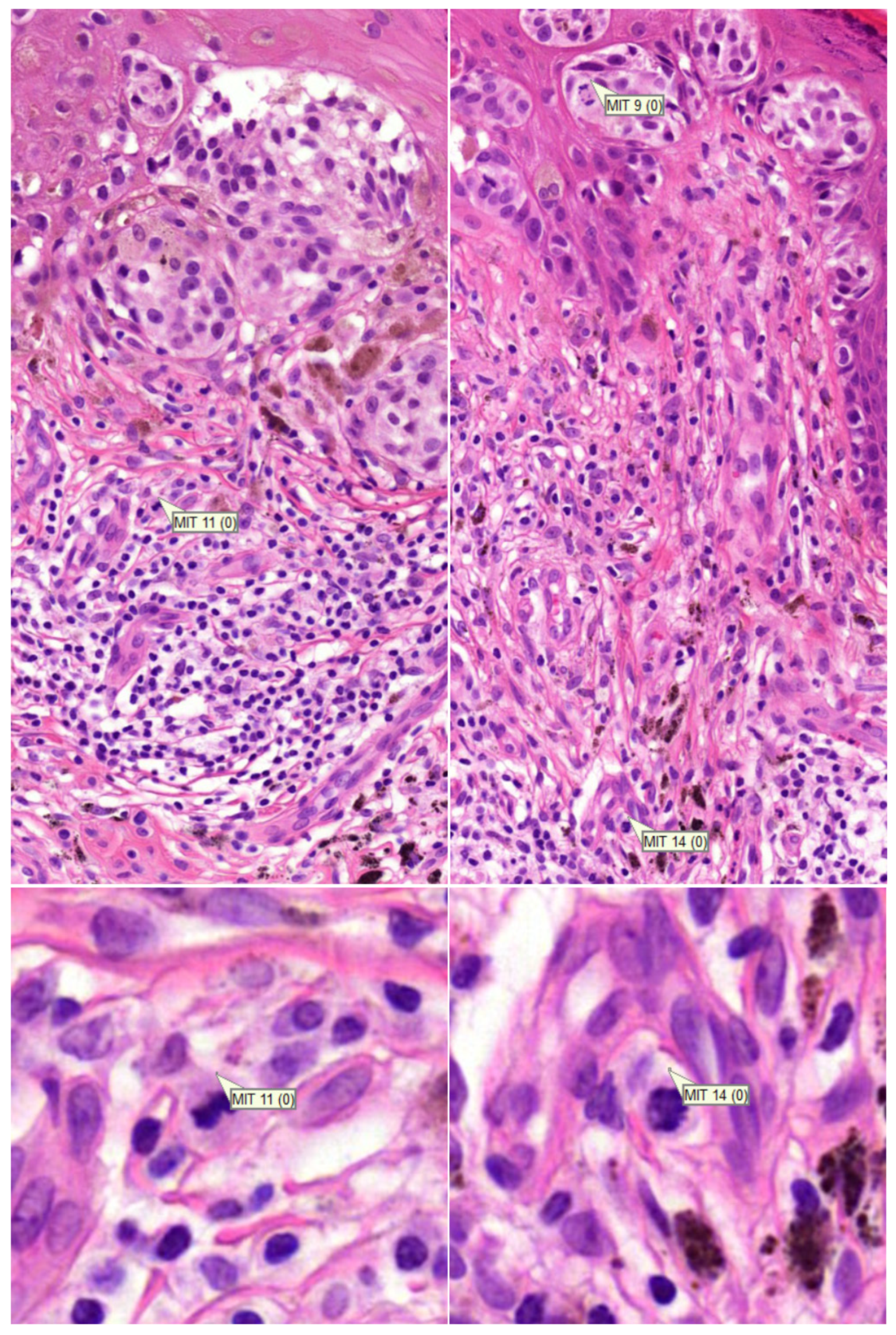 Diagnostics 12 00436 g003