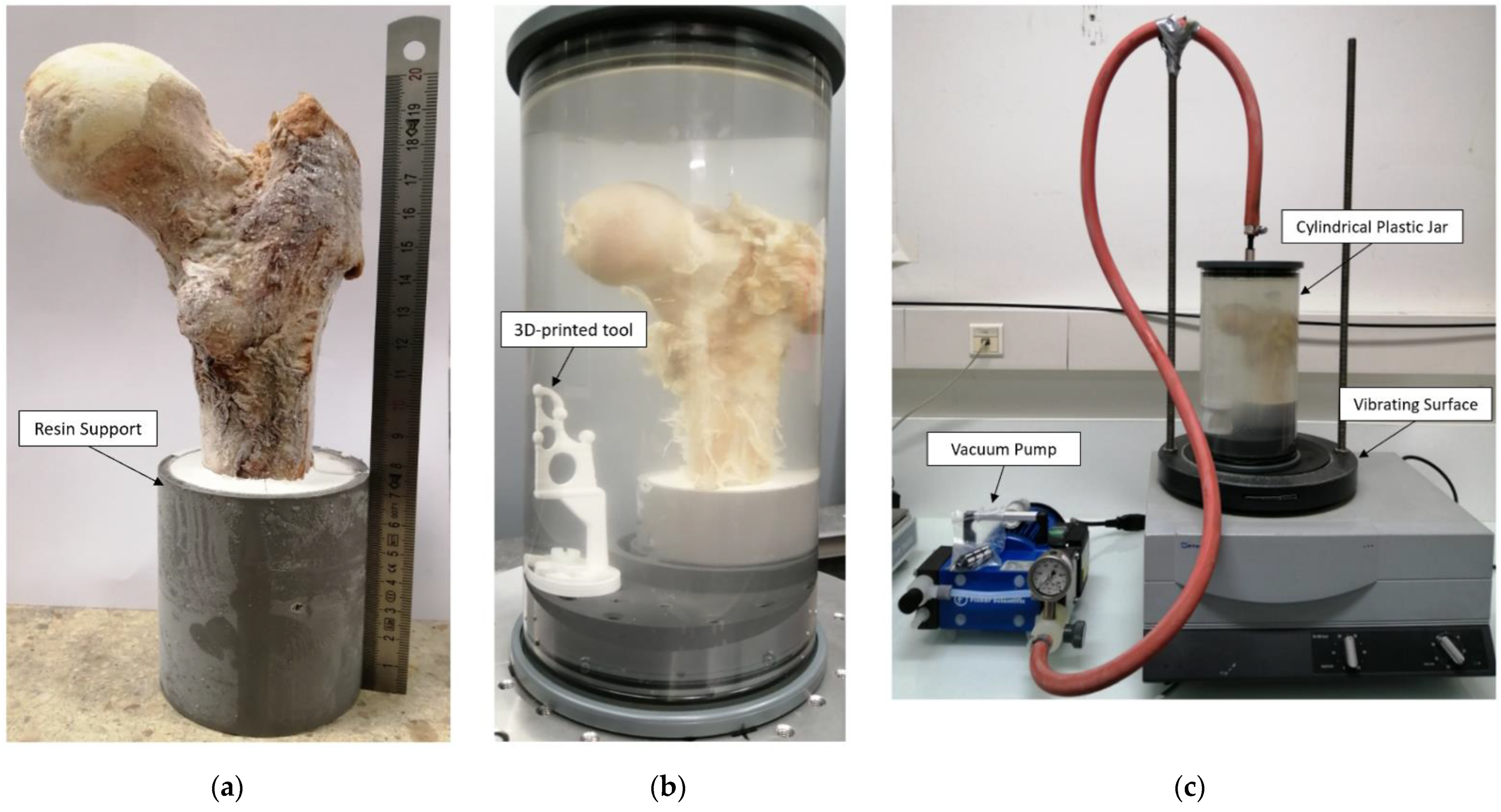 Diagnostics 12 00439 g002