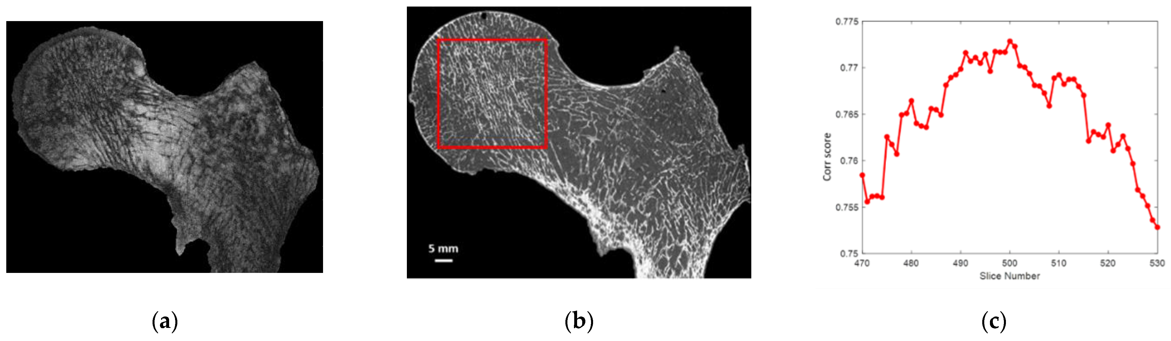 Diagnostics 12 00439 g003