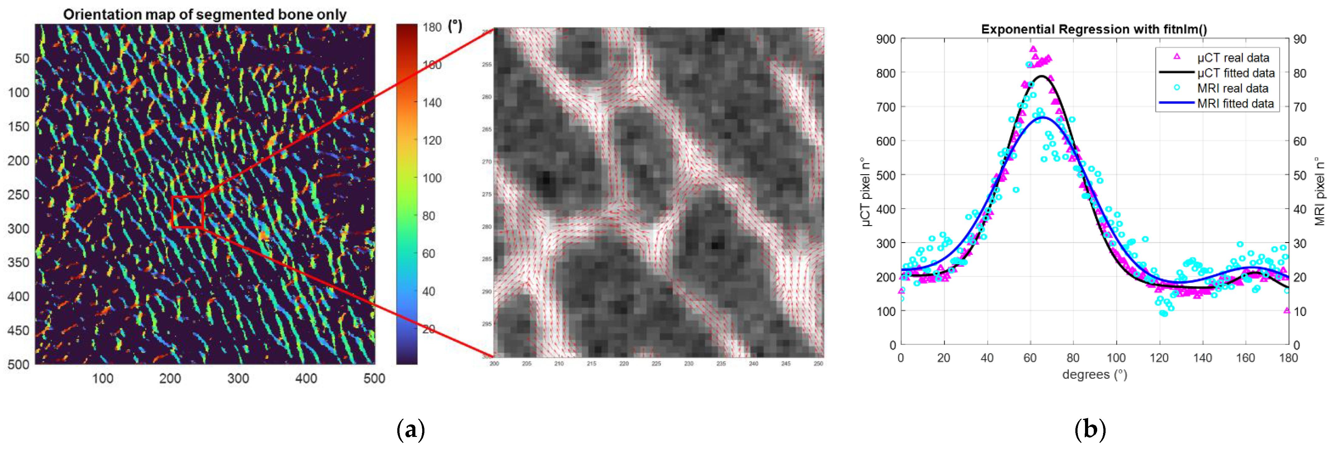 Diagnostics 12 00439 g004