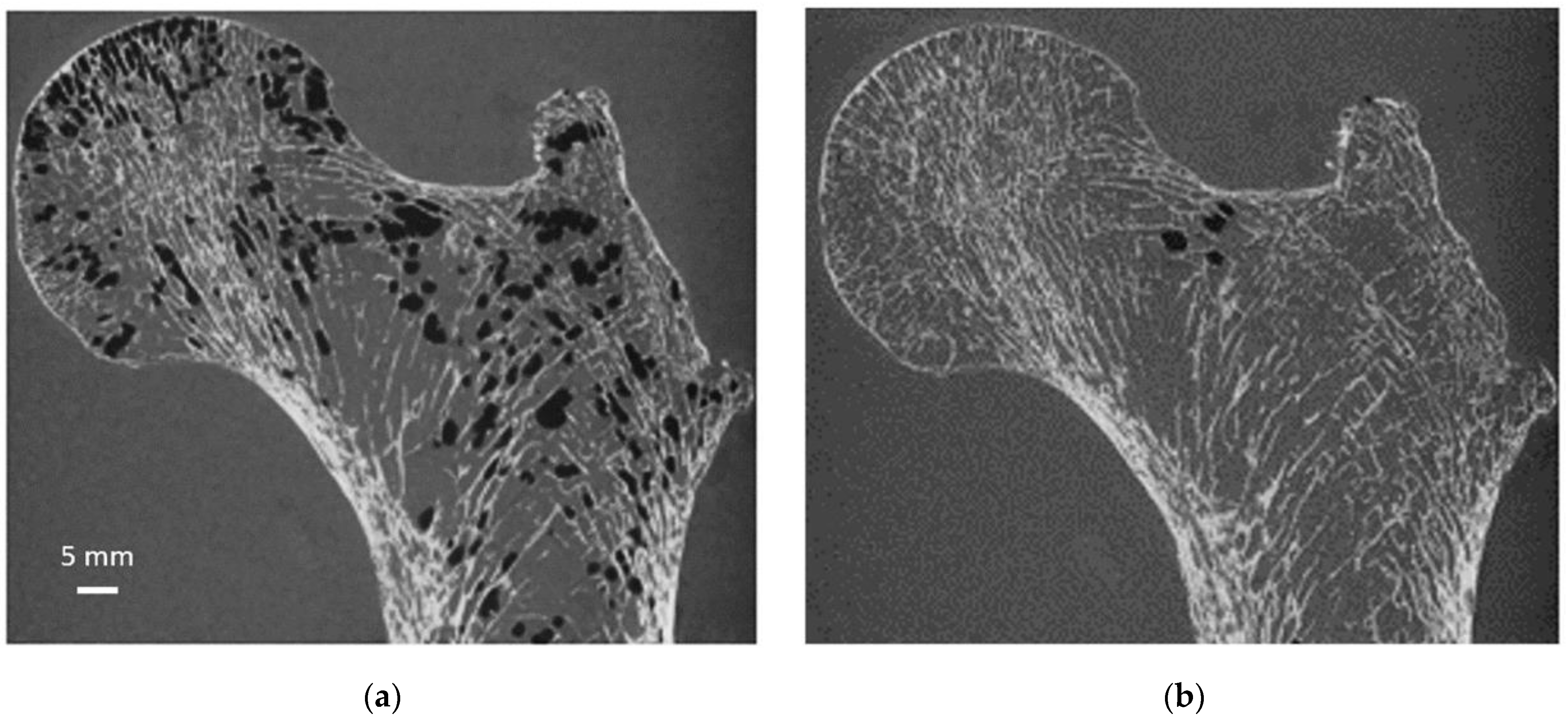 Diagnostics 12 00439 g006